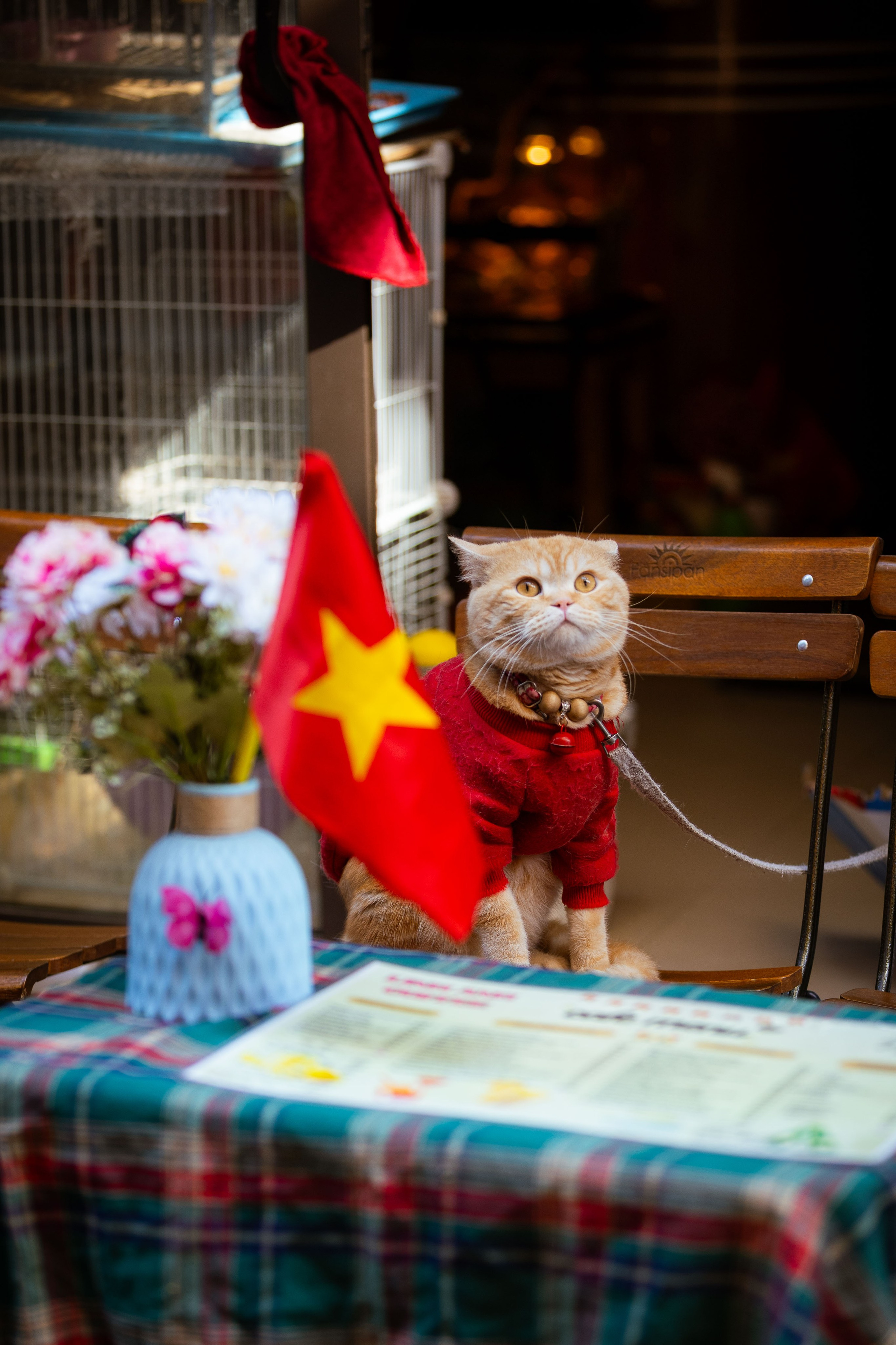 Вьетнам (зима 2025-2026). Фотограф Виноградов Константин