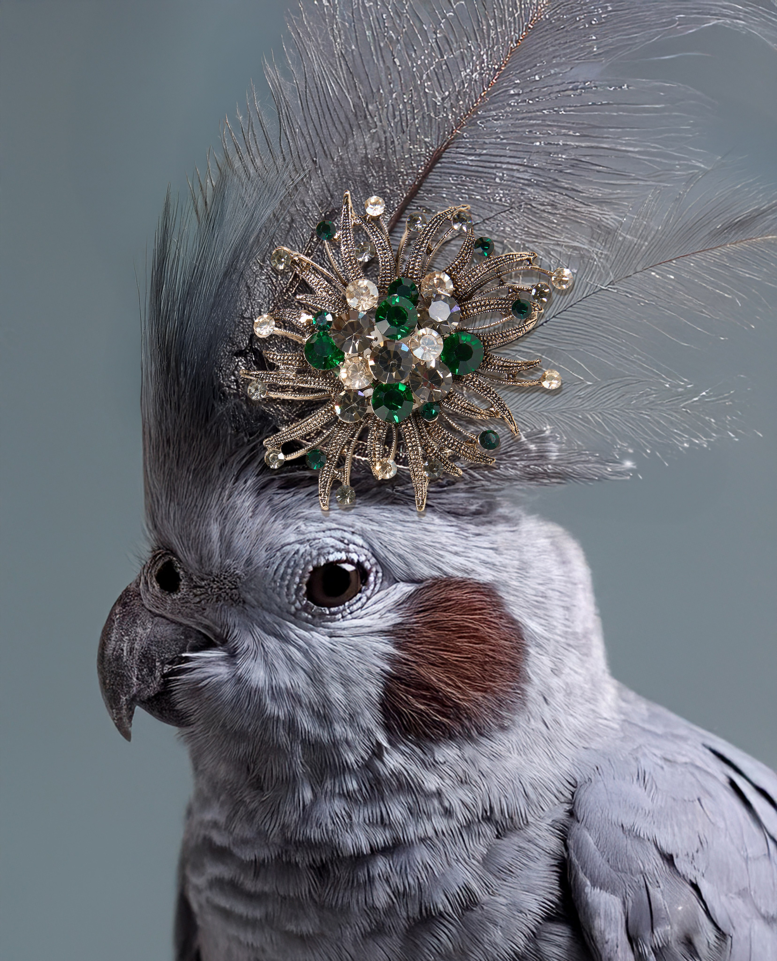 Бижутерия. Фотограф для маркетплейсов Wildberries и Ozon | Предметная и фуд-съёмка, инфографика и видео для брендов — Анастасия Супрунова