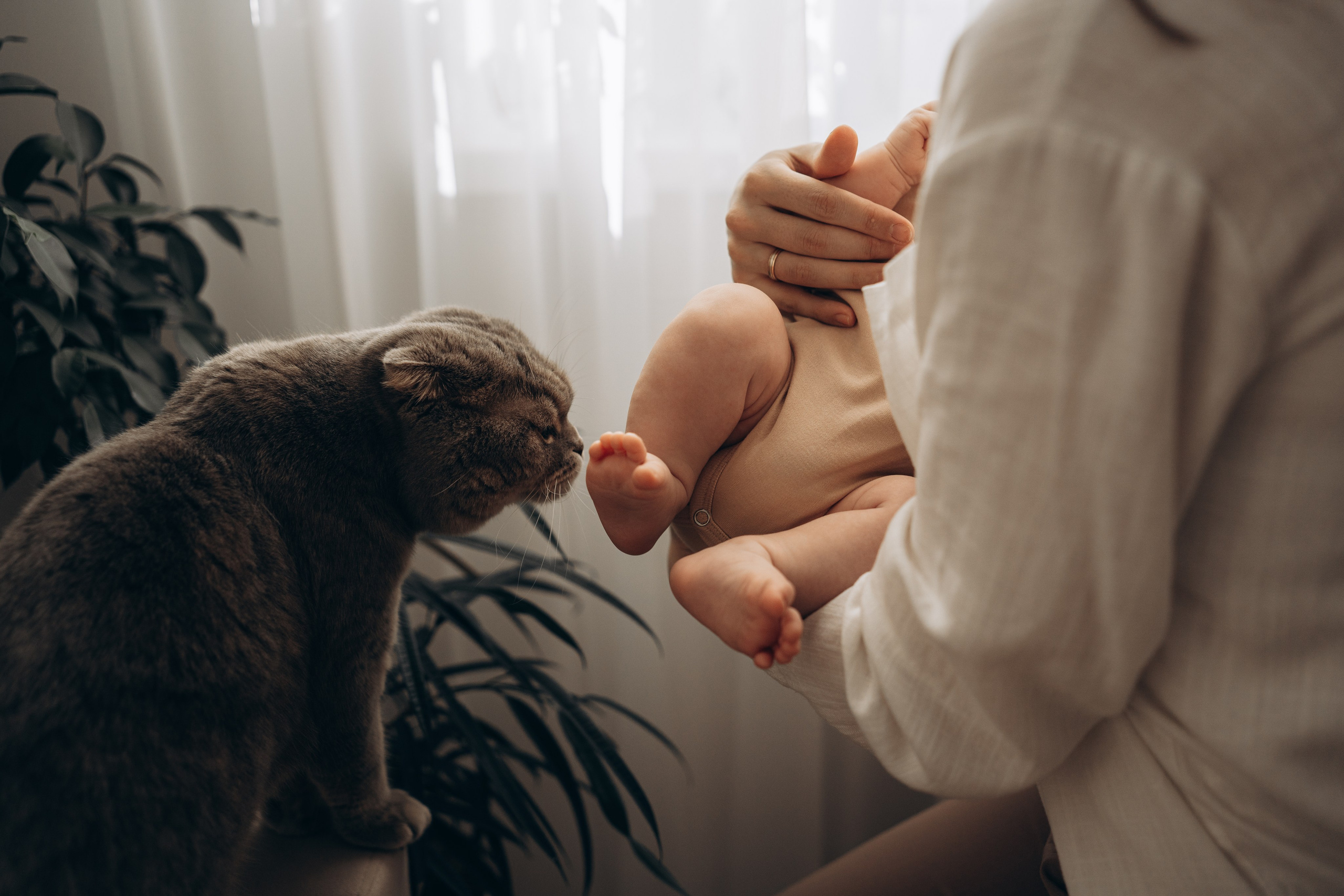 Федя 2 месяца. Фотограф новорождённых и семейный фотограф в Иваново Любовь Капранова