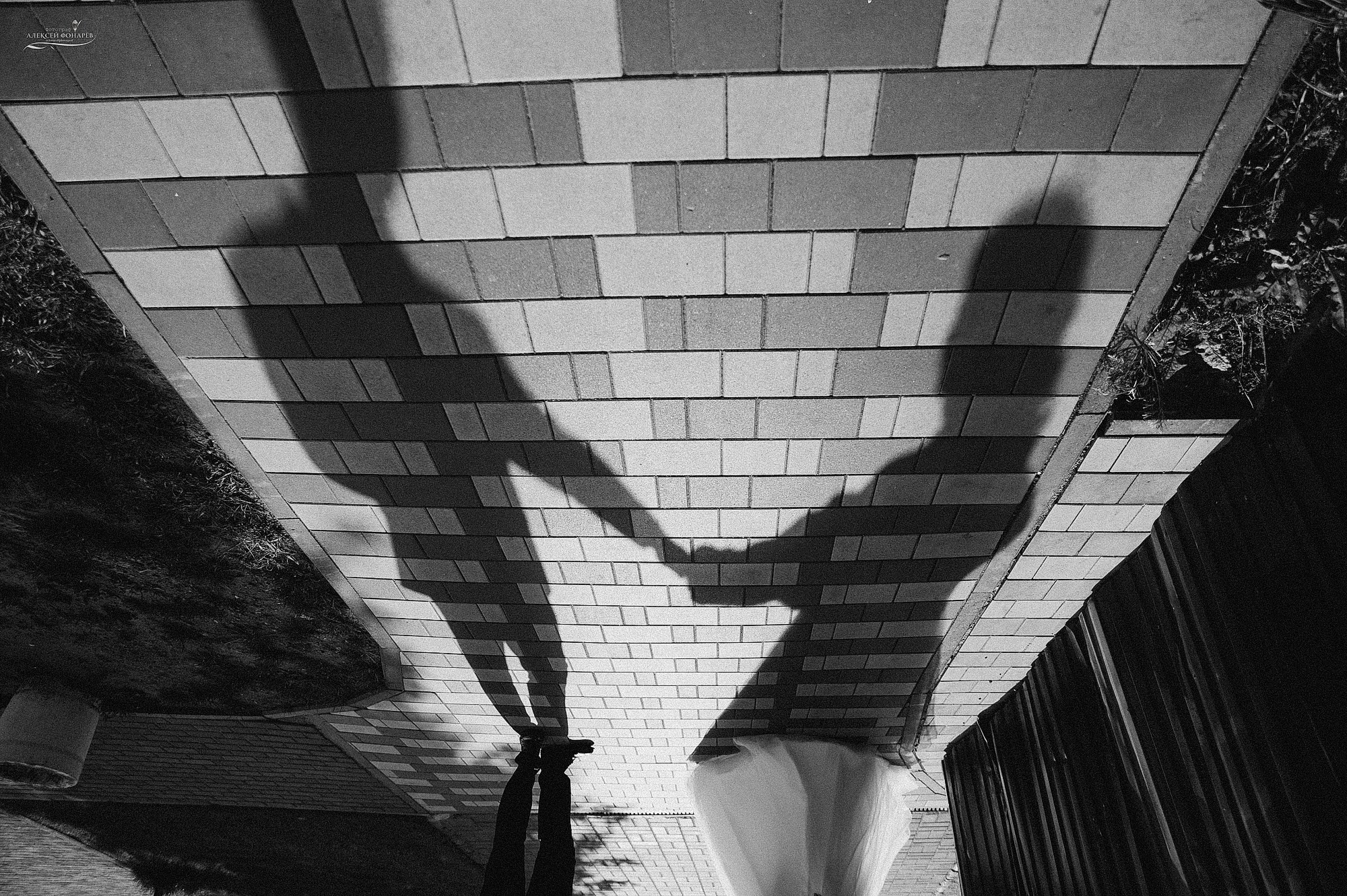 Свадебная прогулка Евгения и Анны в Дубне. Свадебный фотограф в Дубне Алексей Фонарёв