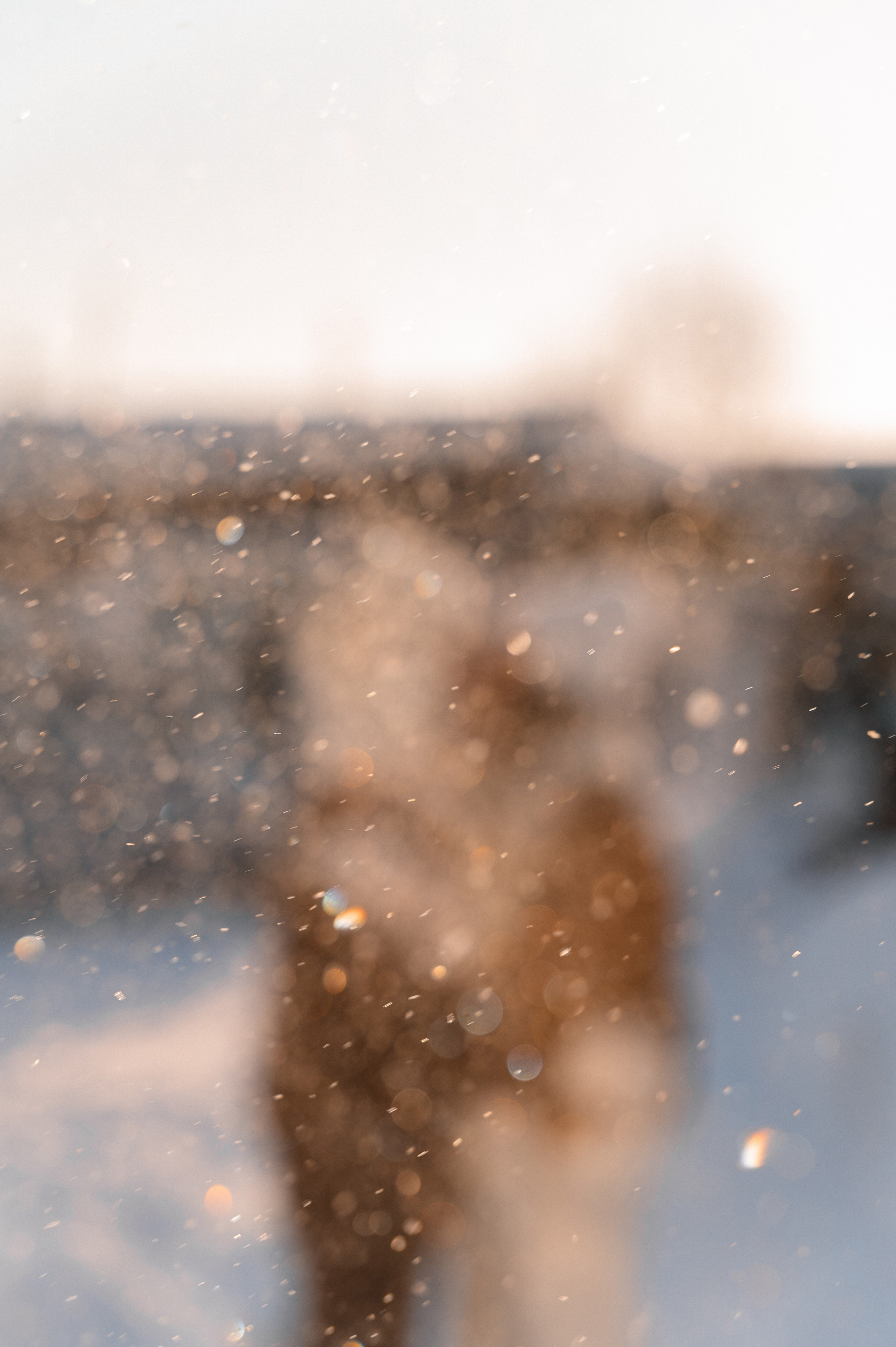 Зимняя фотосессиия. Свадебный и семейный фотограф в Чебоксарах Ирина Левнер