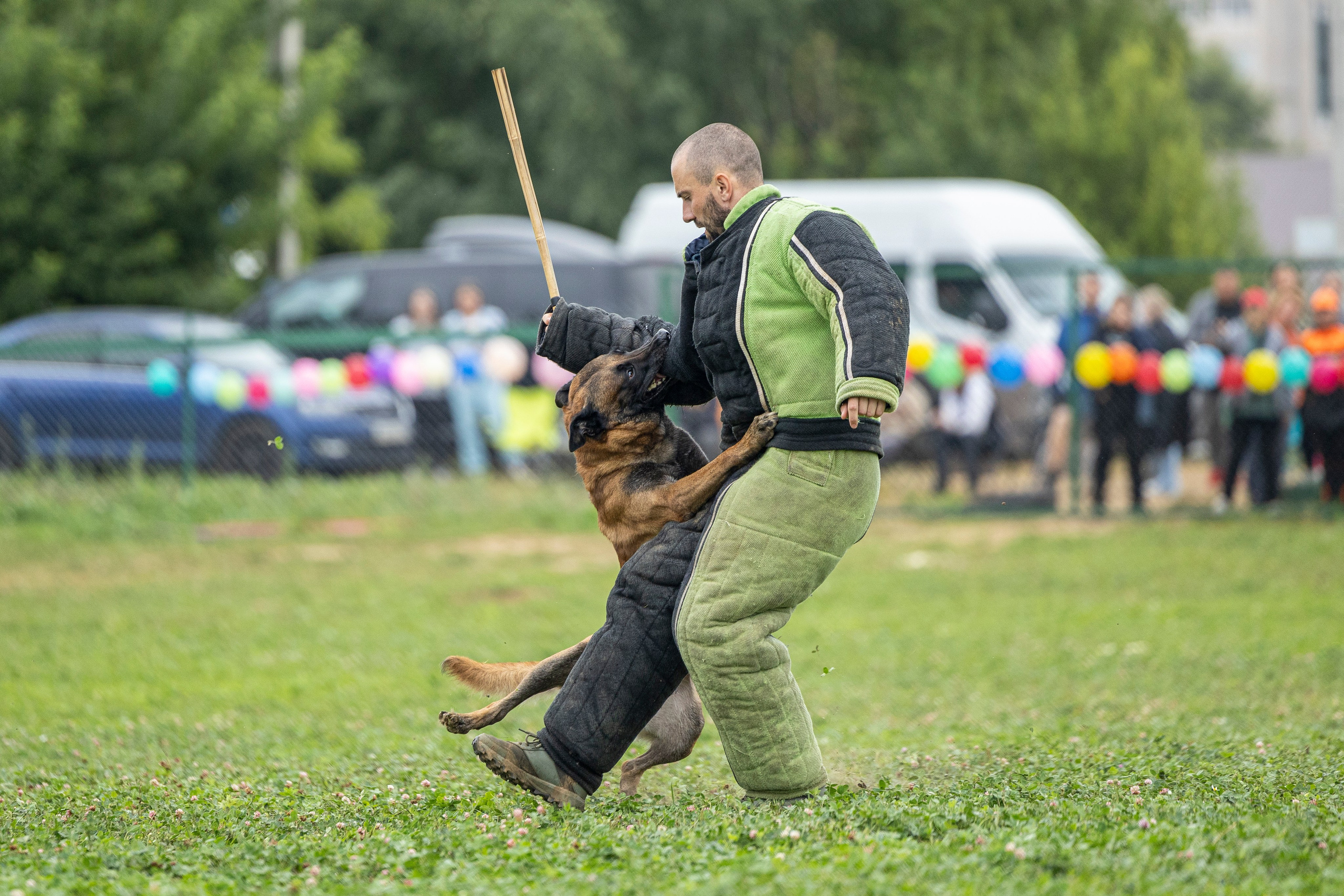 Соревнования по Мондьорингу г. Вологда 10-11.08.2024. Фотограф-анималист Анна Маринич