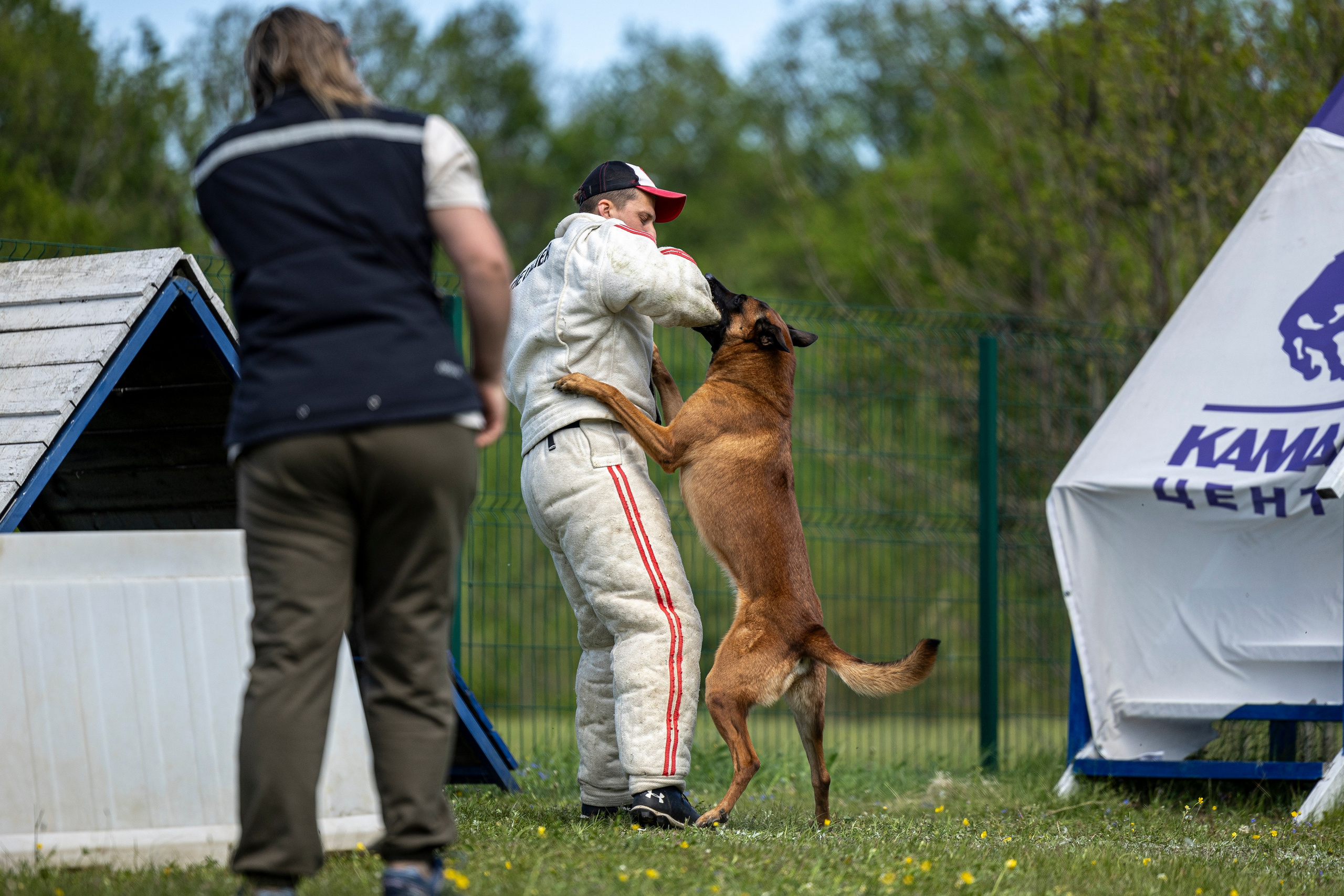 Испытания по мондьорингу в Нижнем Новгороде. Фотограф-анималист Анна Маринич