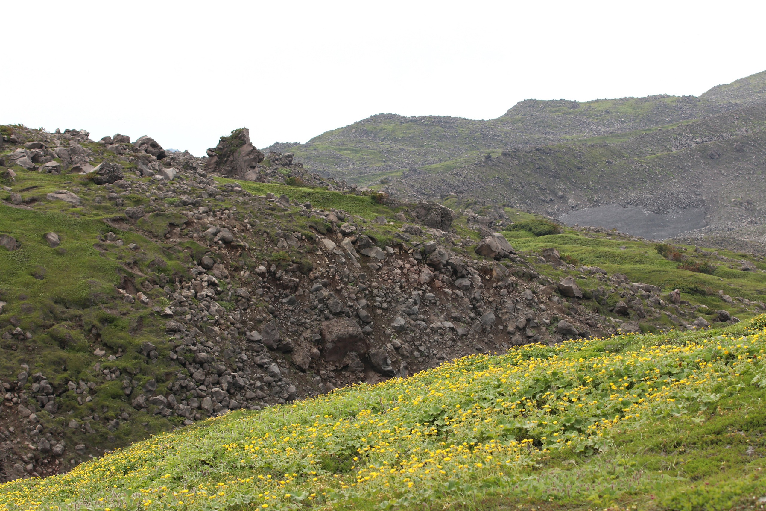 Камчатка и о. Парамушир. Июль 2024. Путешественник-фотограф из Санкт-Петербурга Татьяна Свистулина