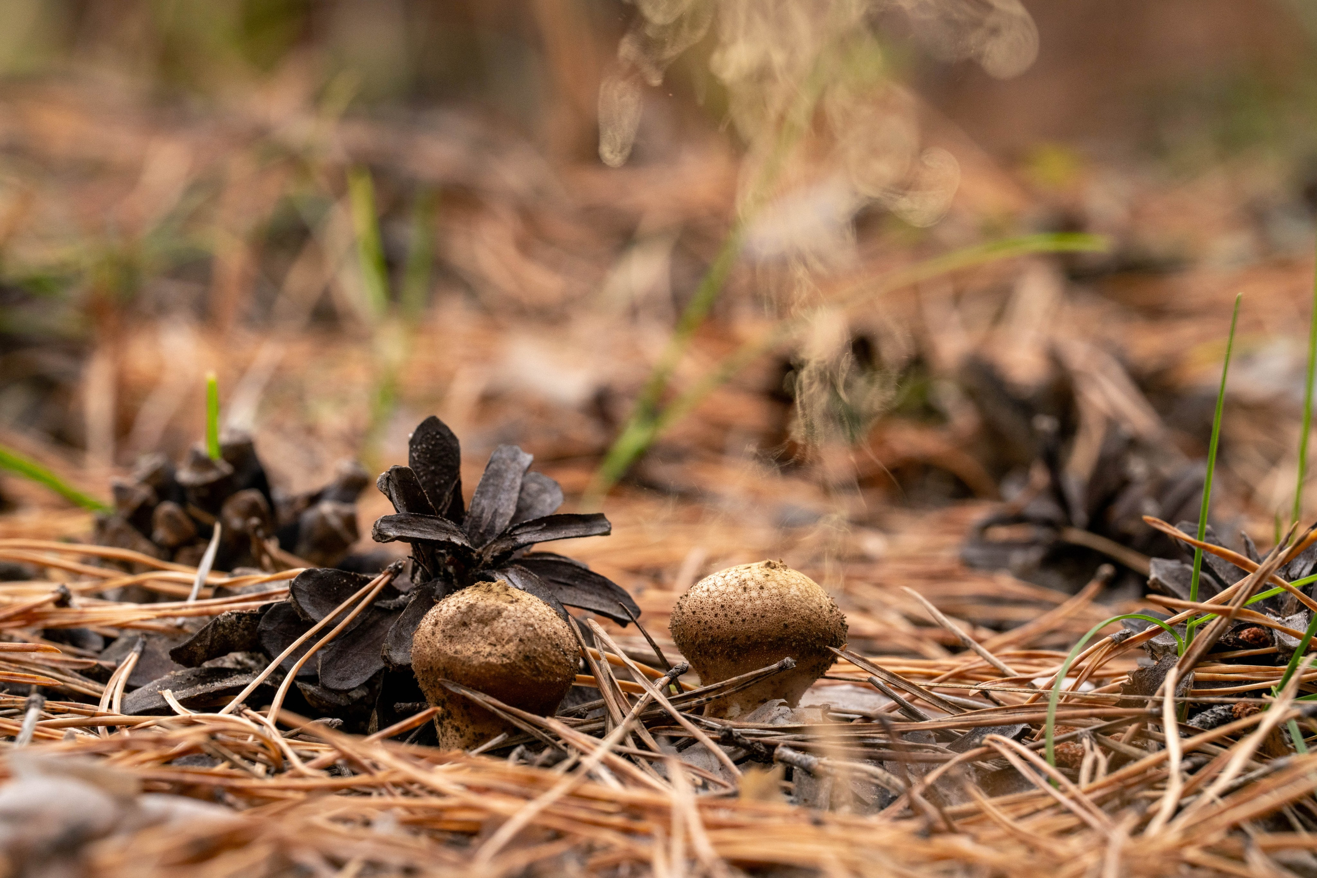 Курганская область. Daria wanderer photography