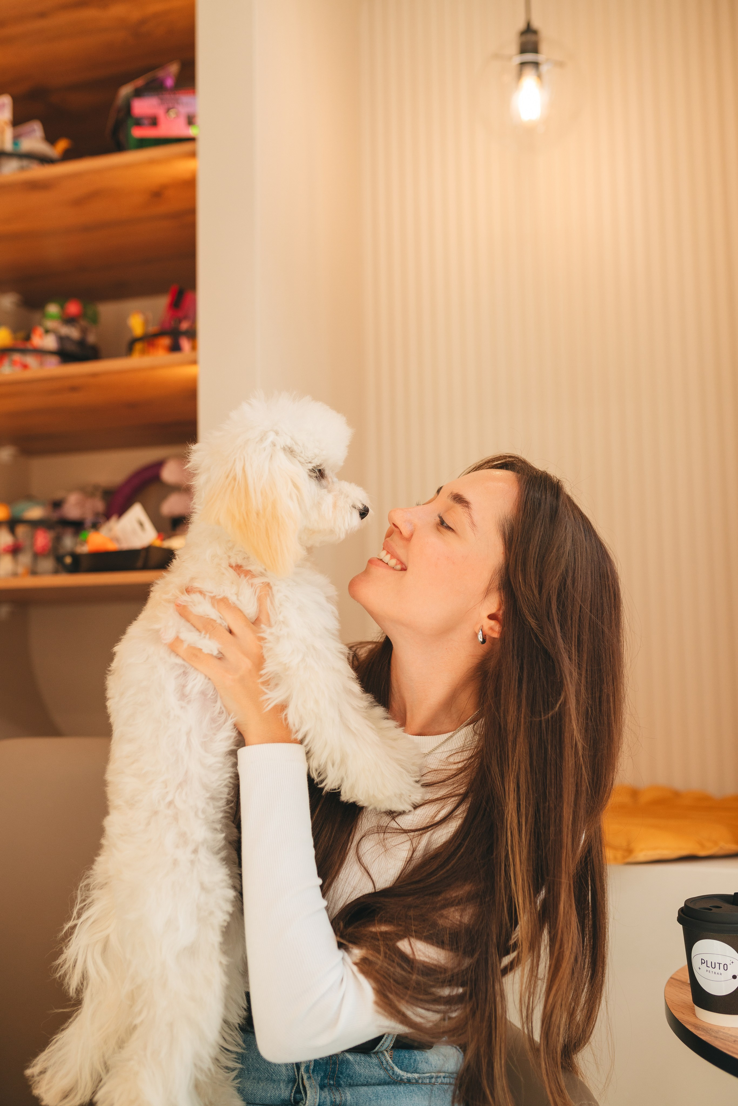 Груминг — салон. Фотограф анималист Осипчикова Мария