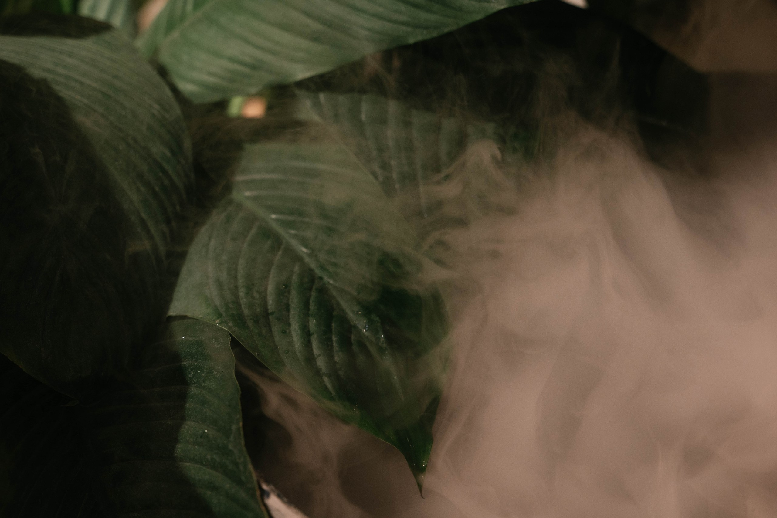 Мастер-класс по рисованию на день рождения. Свадебный, семейный фотограф в Рязани Лена Брант