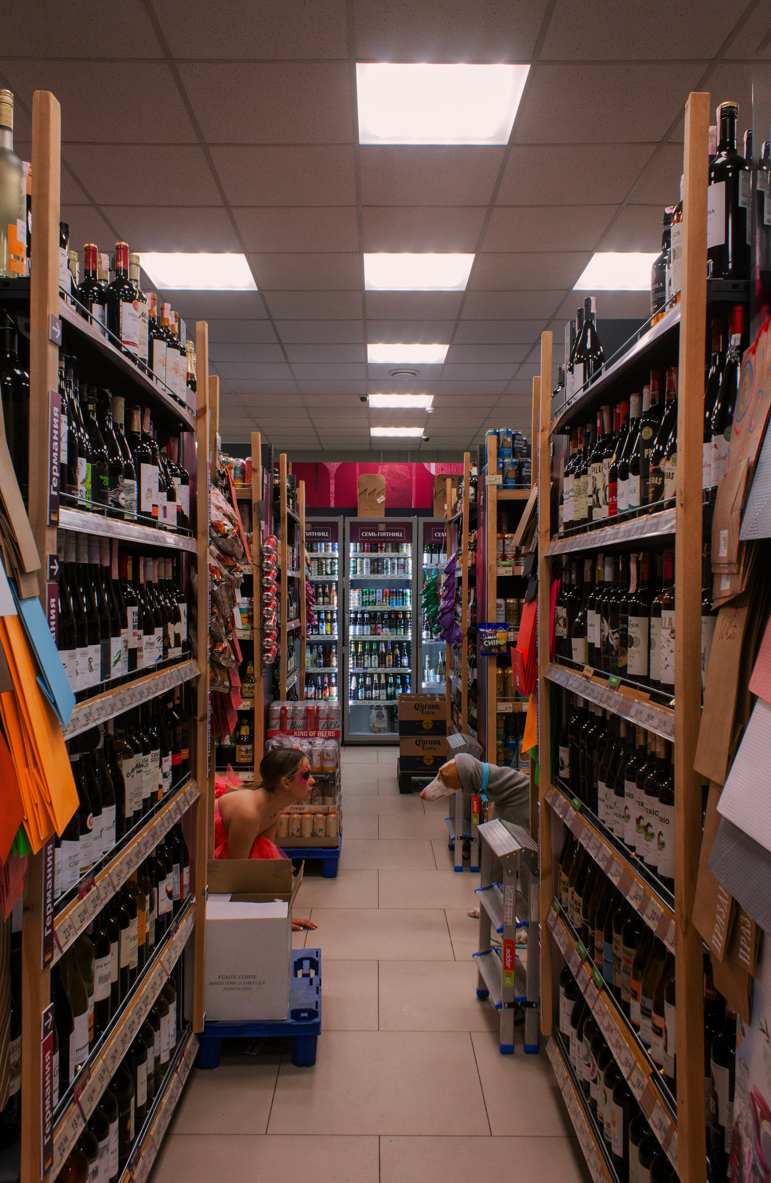 Яркая собачья жизнь