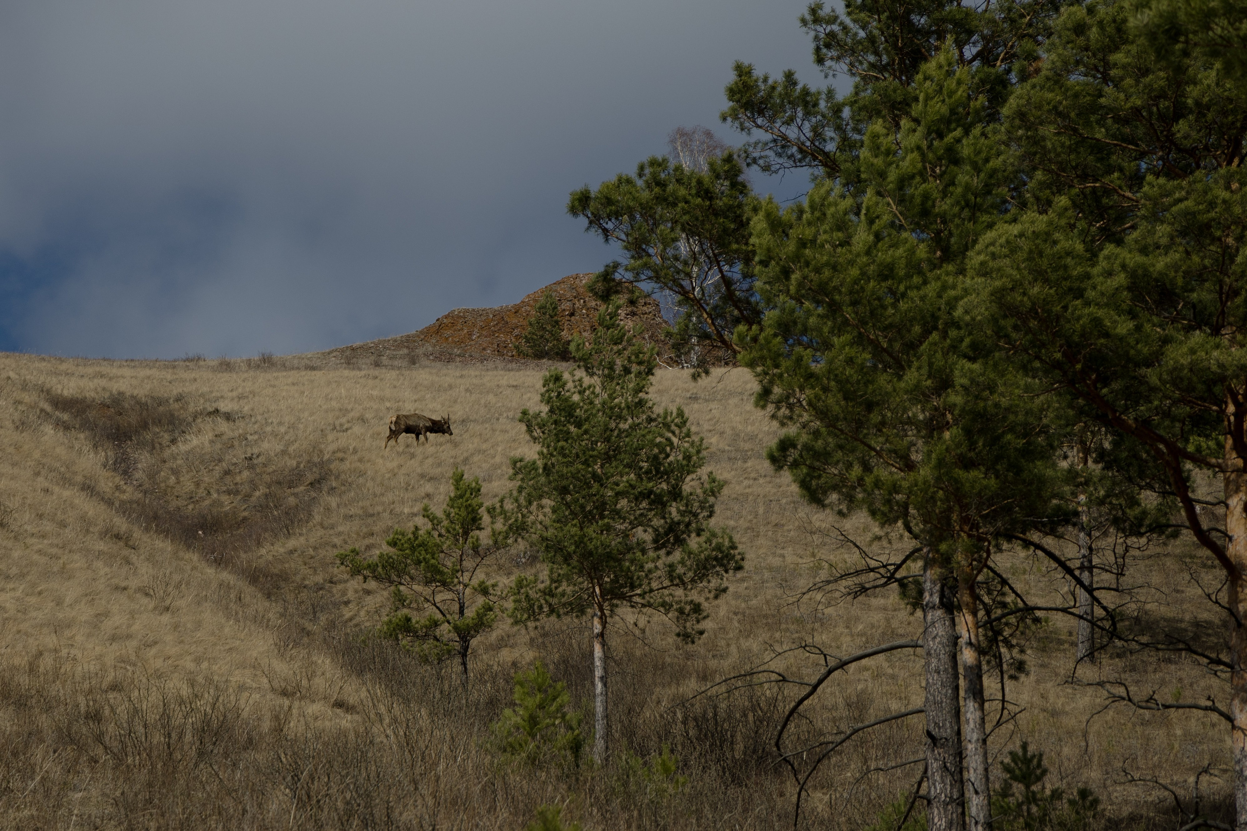 Красноярск. Портретный и уличный фотограф в Москве Таня Корнеева