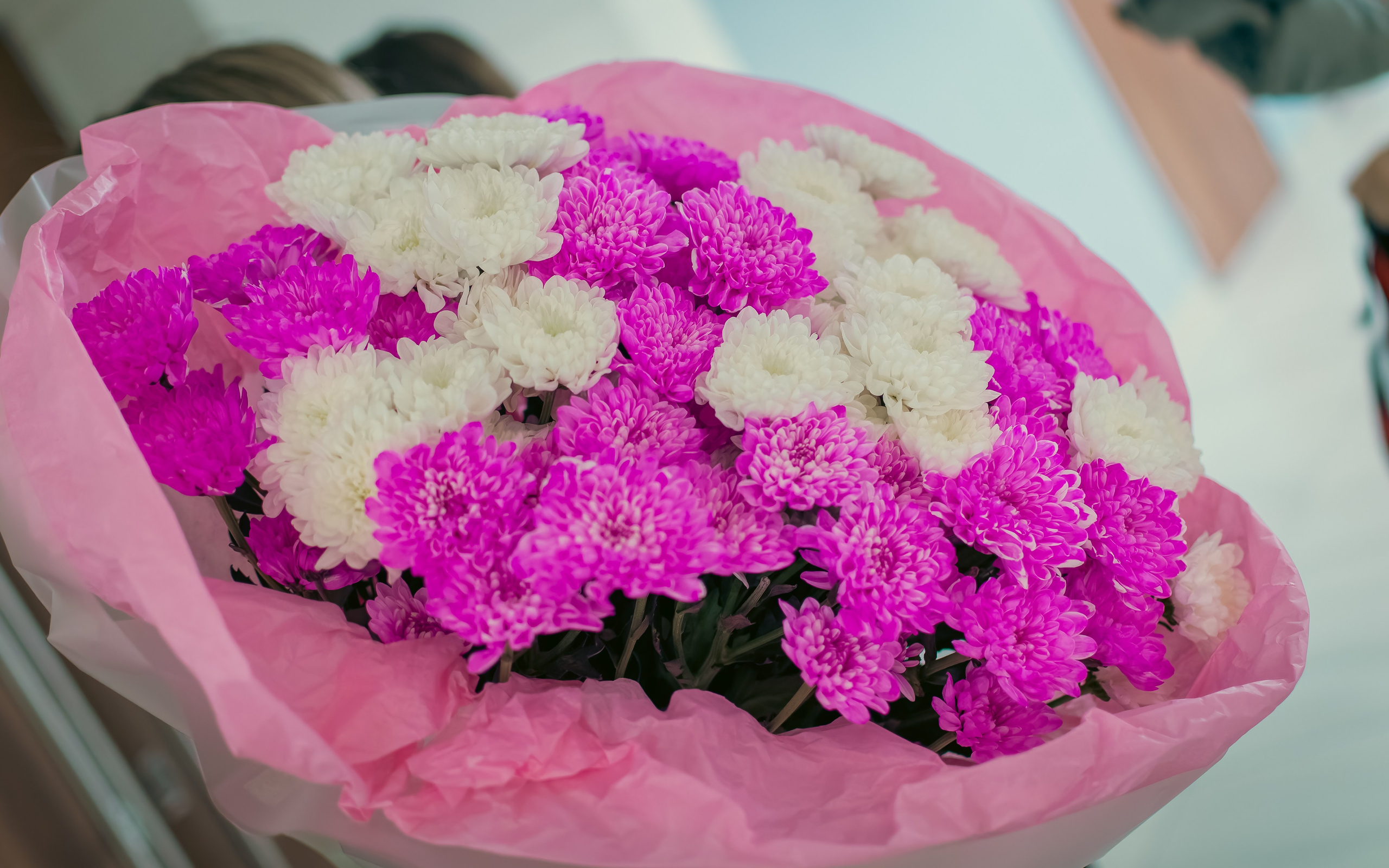 34-й Чемпионат по бодибилдингу Красноярского края. G G L V D M T R | Фотограф в Красноярске