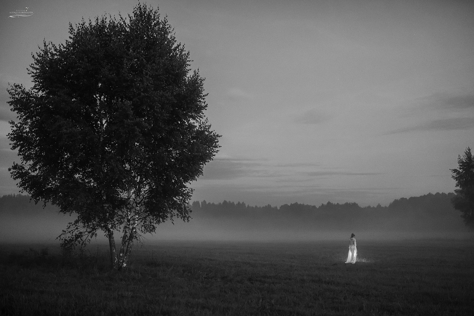 в тумане девушка в белом