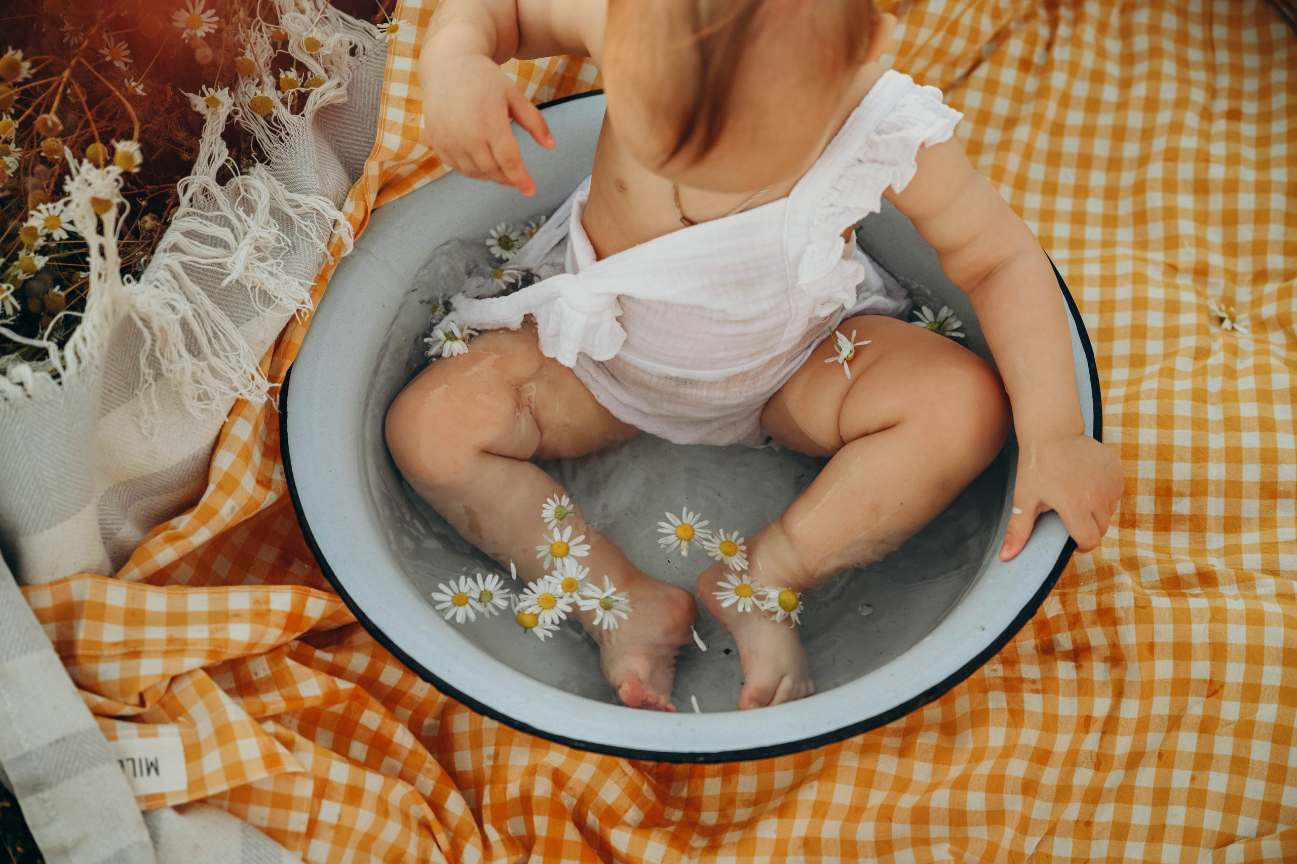 Ромашковое поле. Семейный фотограф в Москве Люберцах Ирина Вронская