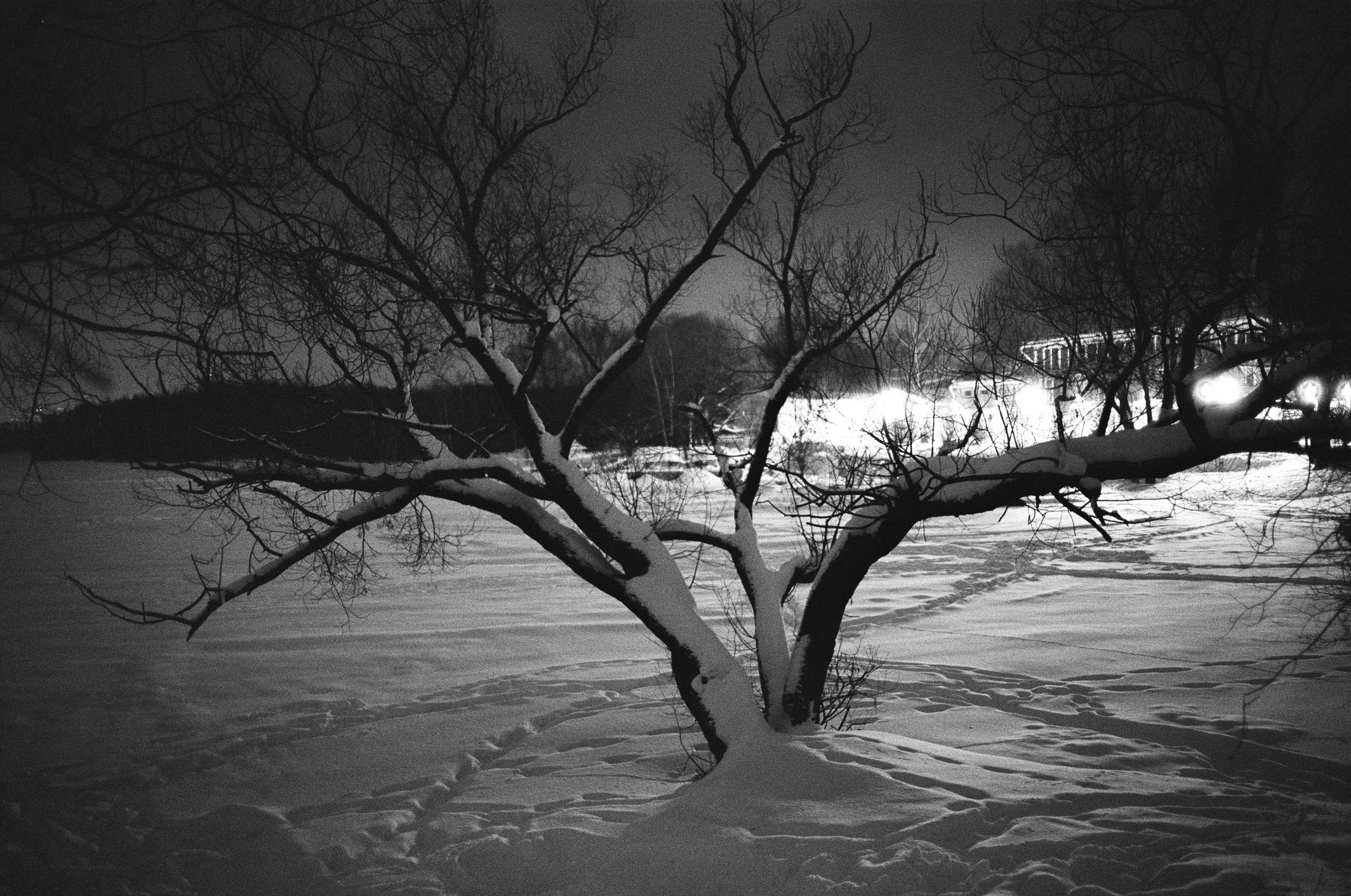 Обзор фотоаппарата Voigtlander BESSA-T. Мои первые впечатления