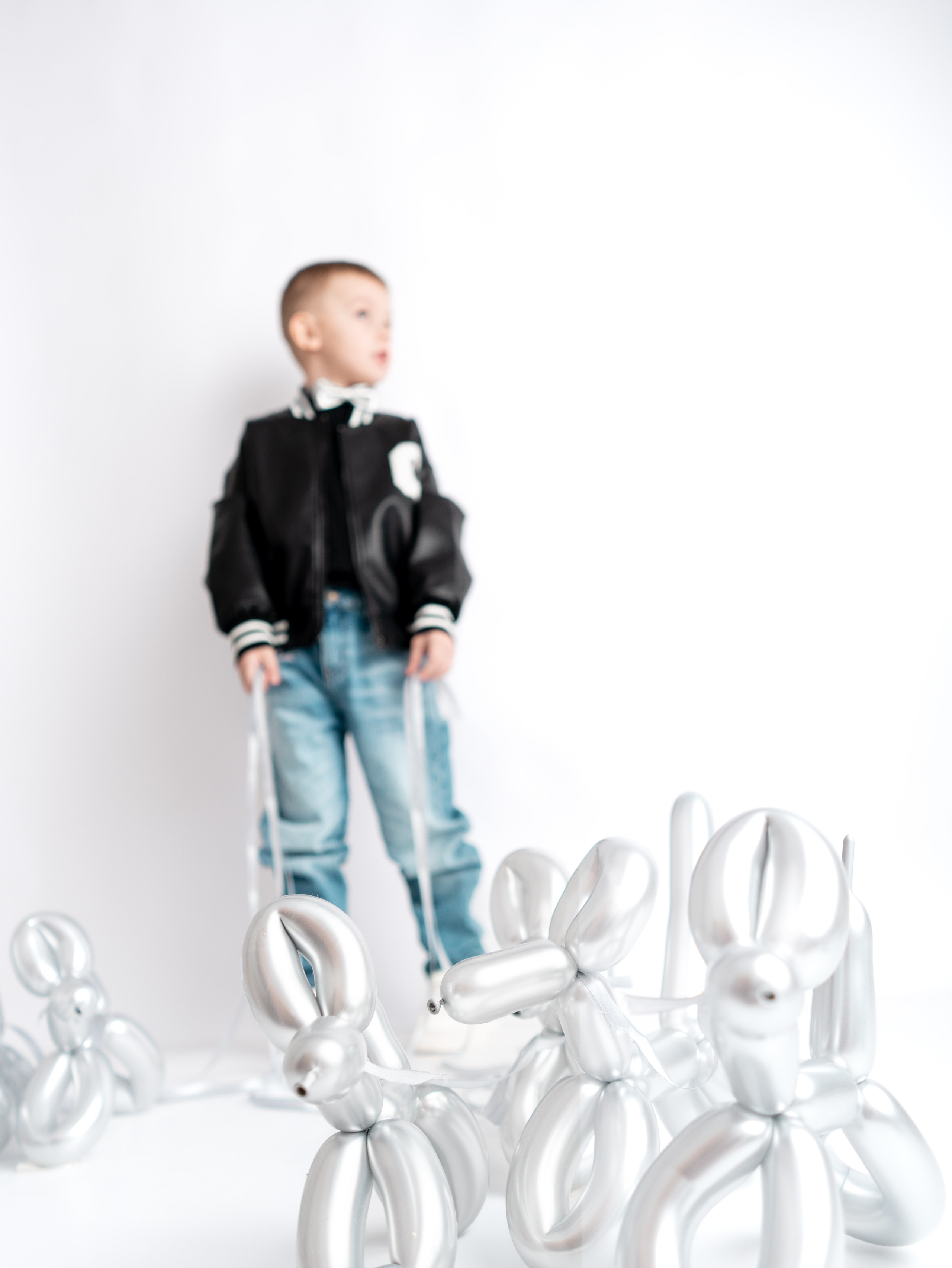 Foto project. Dogs. Фотограф и видеограф Тверь