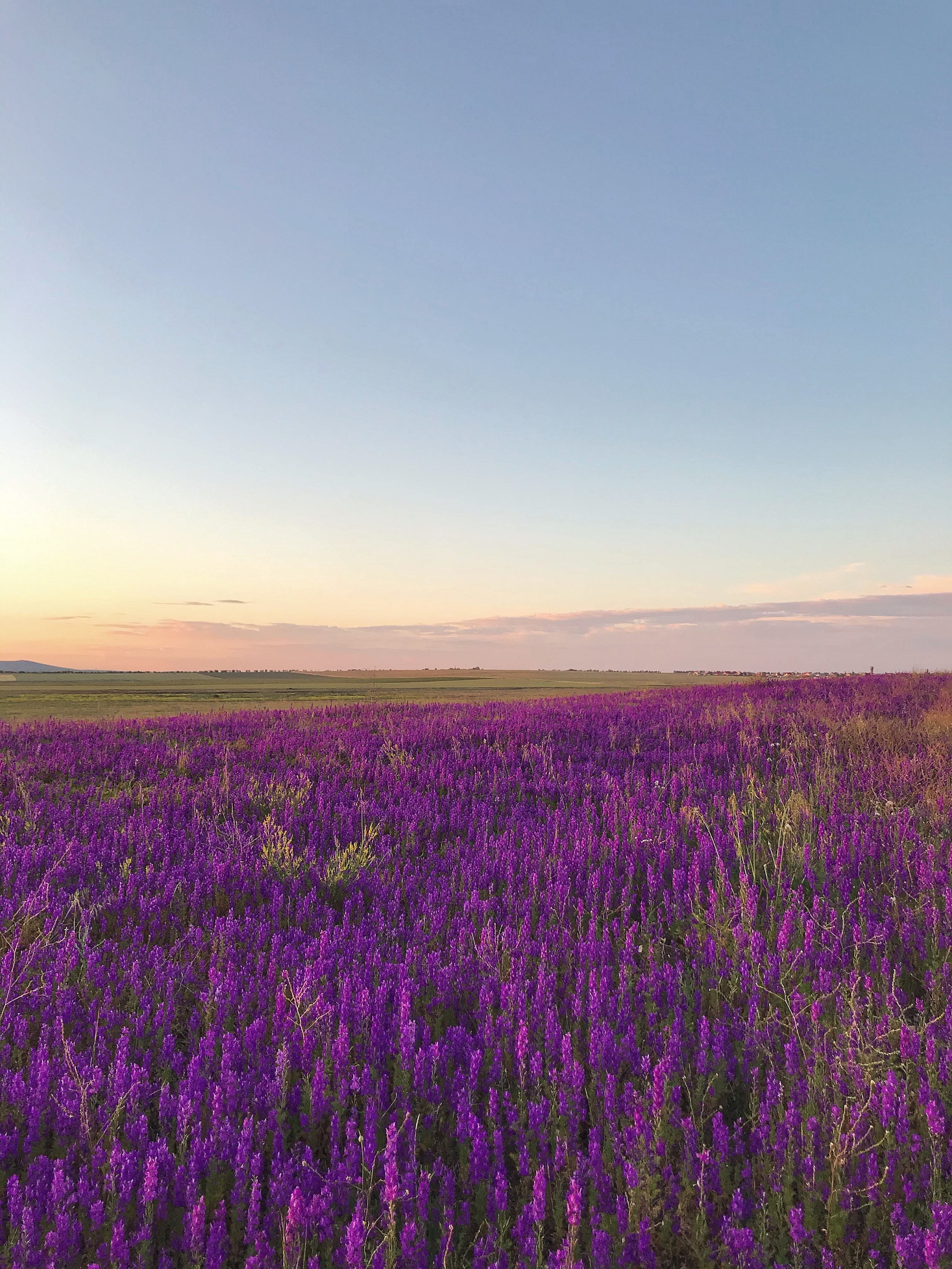 Горы. Репортажный и постановочный Наталья Санникова