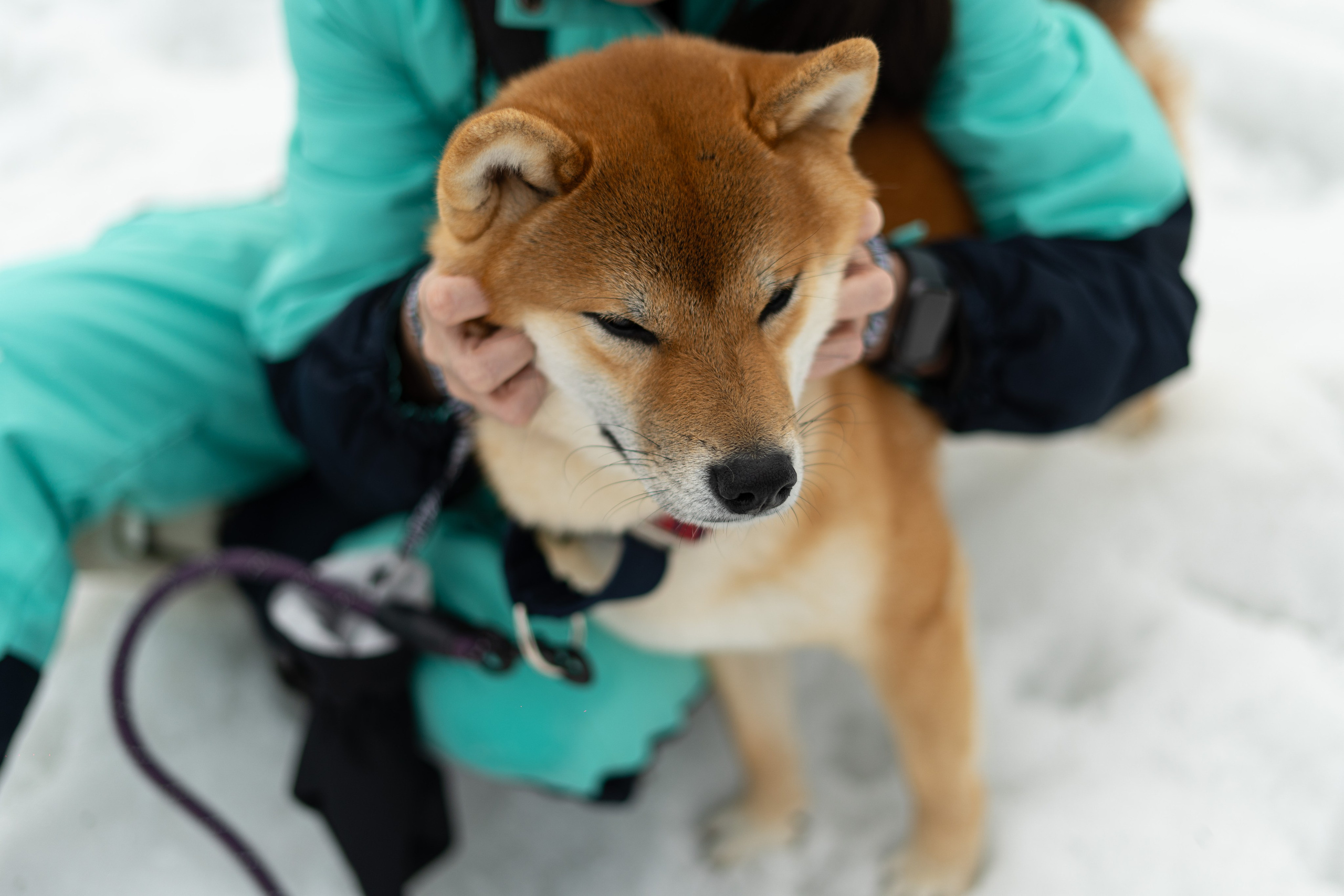 Грелка 18.04.24. Анастасия Паршукова — фотограф Шерегеш Новосибирск