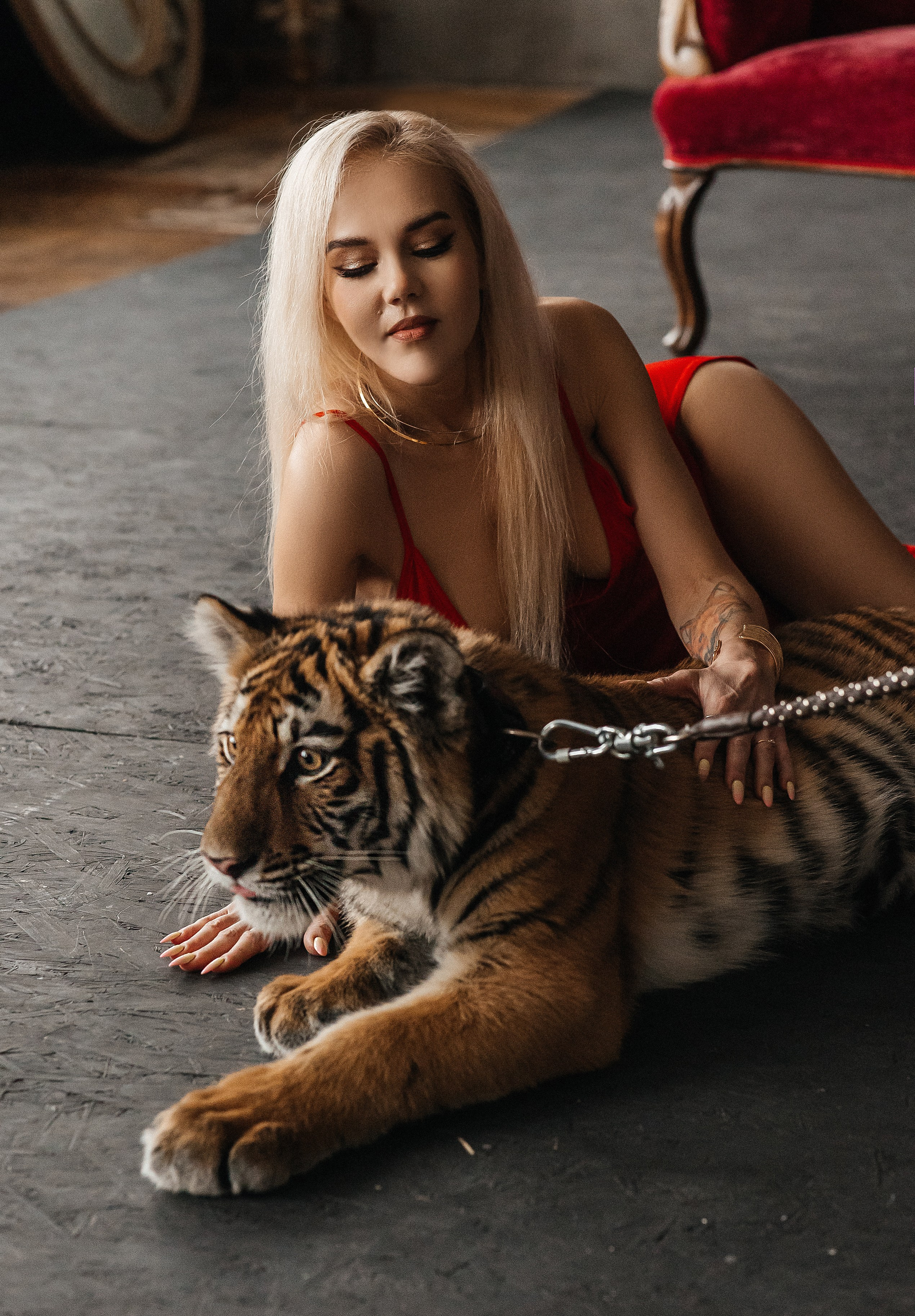 Тигр. Свадебный и портретный фотограф Алина Иванова. Екатеринбург-Москва
