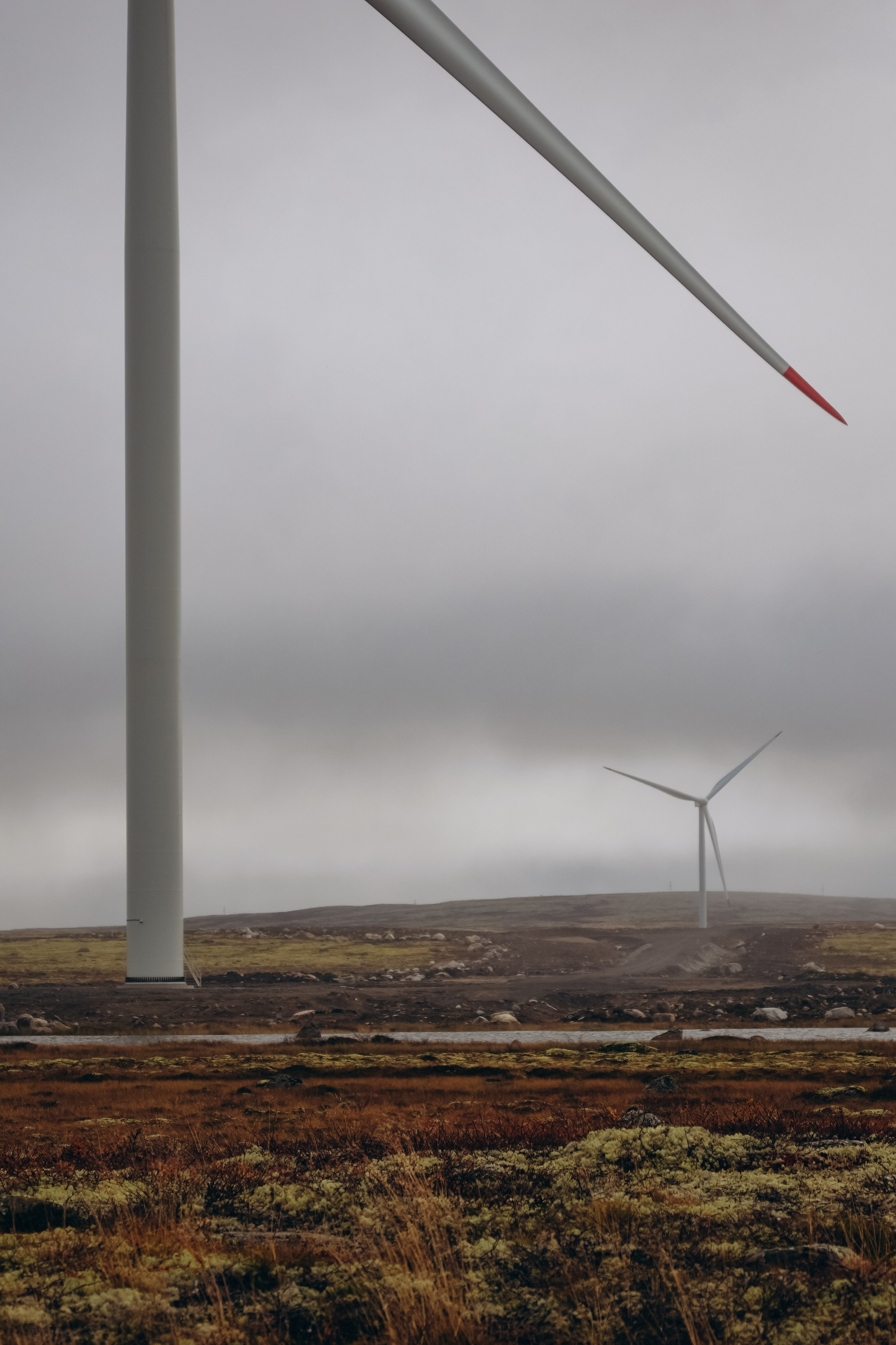 СЕВЕР. Event фотограф Степанова Александра