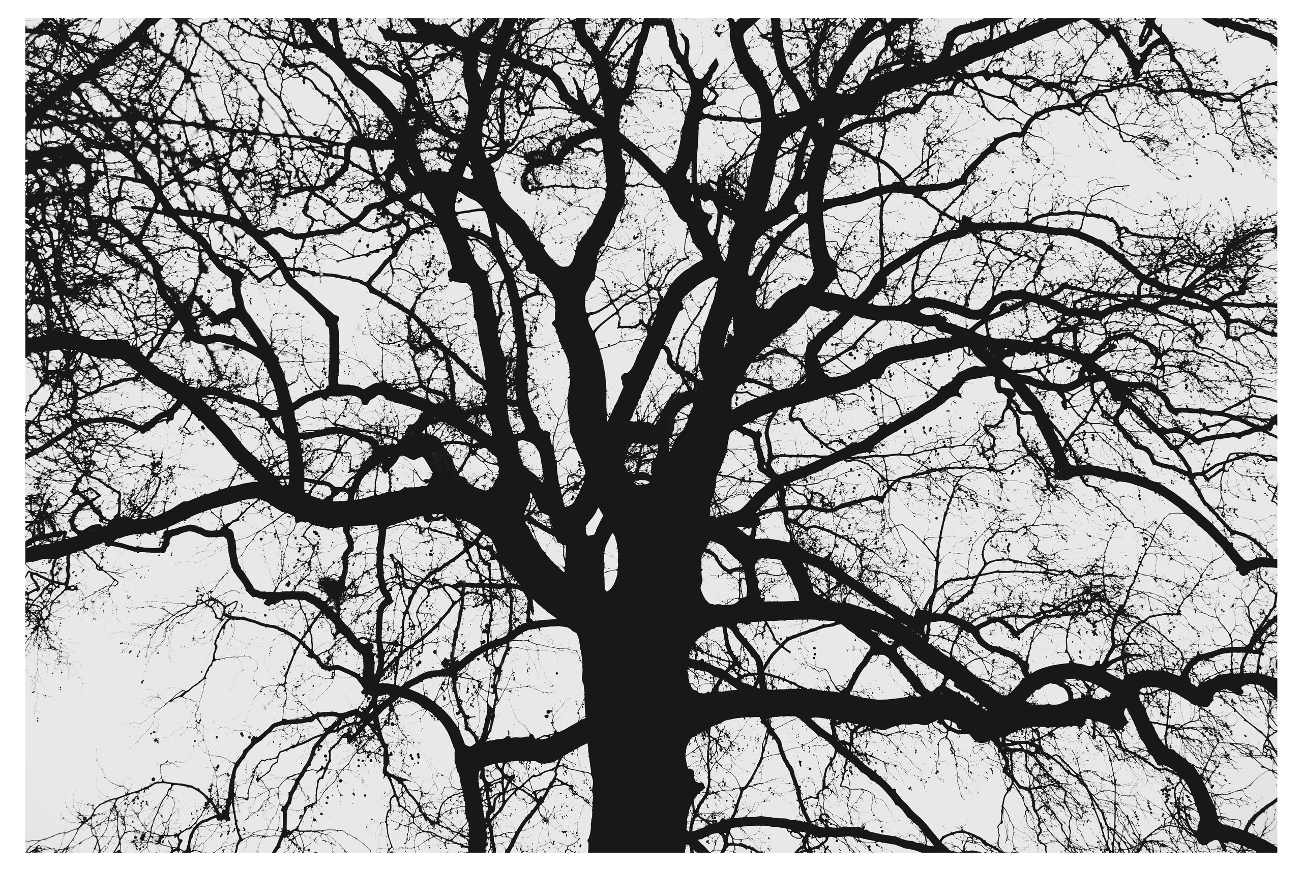 W&B HORIZONTAL. Фотограф в Севастополе Максим Черенёв