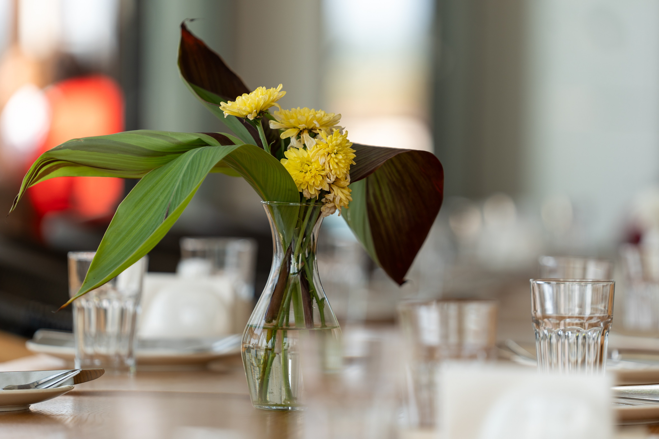 Mice мероприятие — тур по Абхазии. Репортажный фотограф в Красной Поляне и Сочи Павлюченко Екатерина