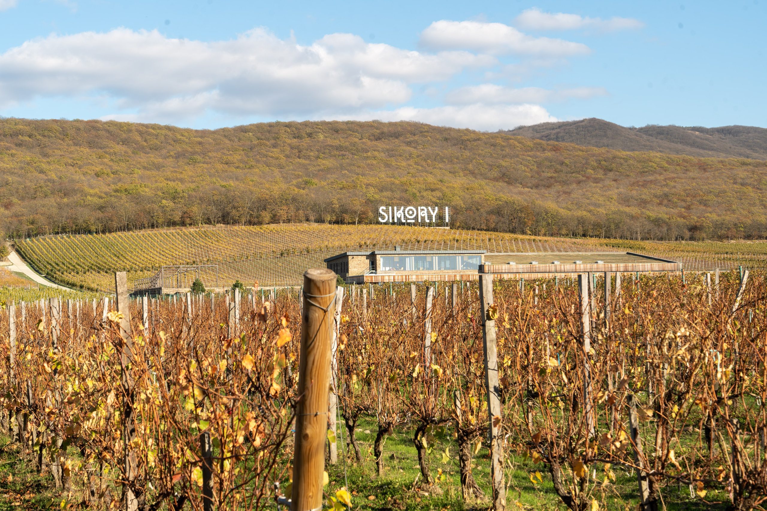 Литературная мастерская с Ольгой Шутовой в «Винотеррии». Репортажный фотограф в Красной Поляне и Сочи Павлюченко Екатерина