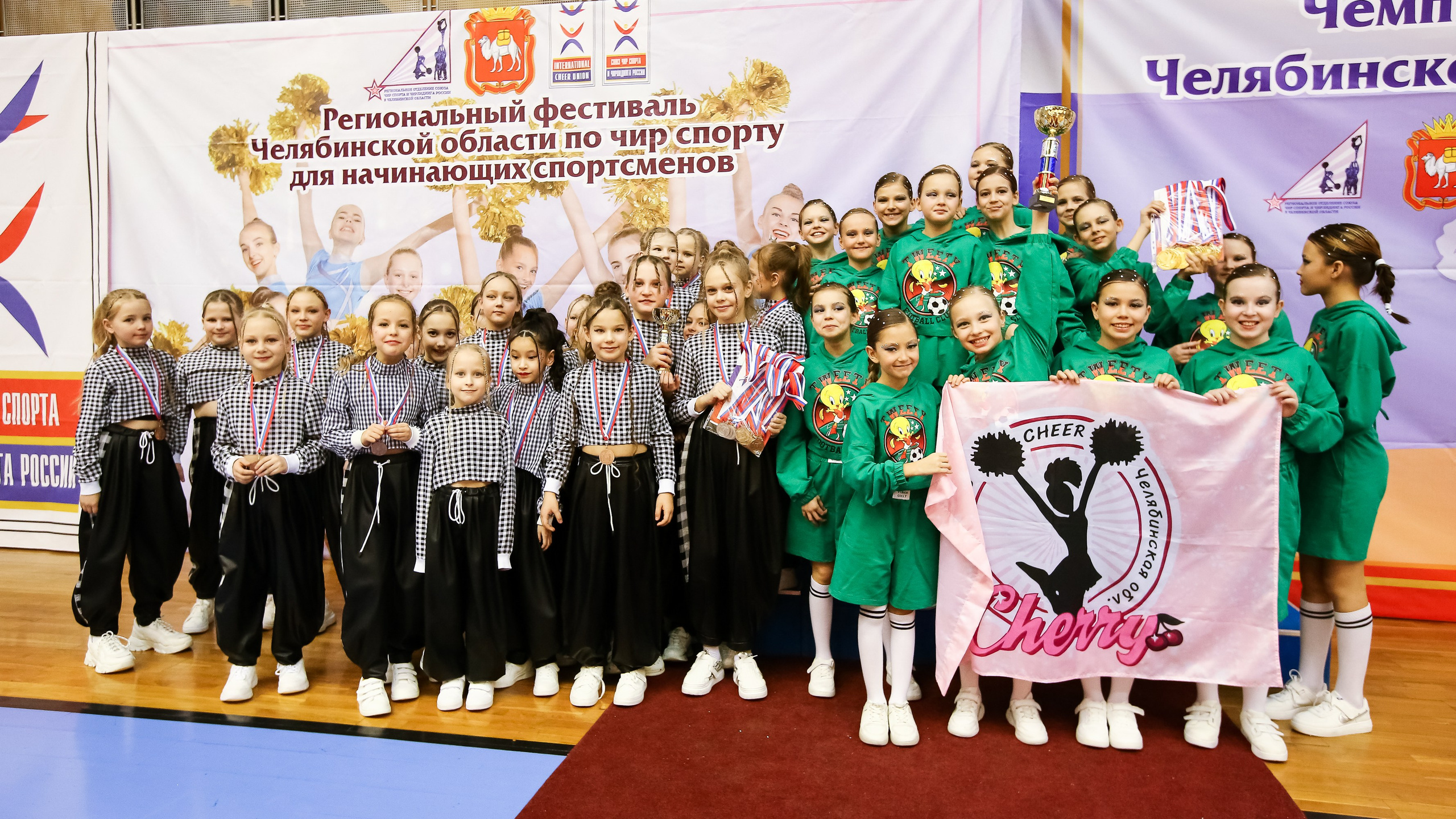 ЧЕМПИОНАТ И ПЕРВЕНСТВО ЧЕЛЯБИНСКОЙ ОБЛАСТИ ПО ЧИР СПОРТУ — 2023 г