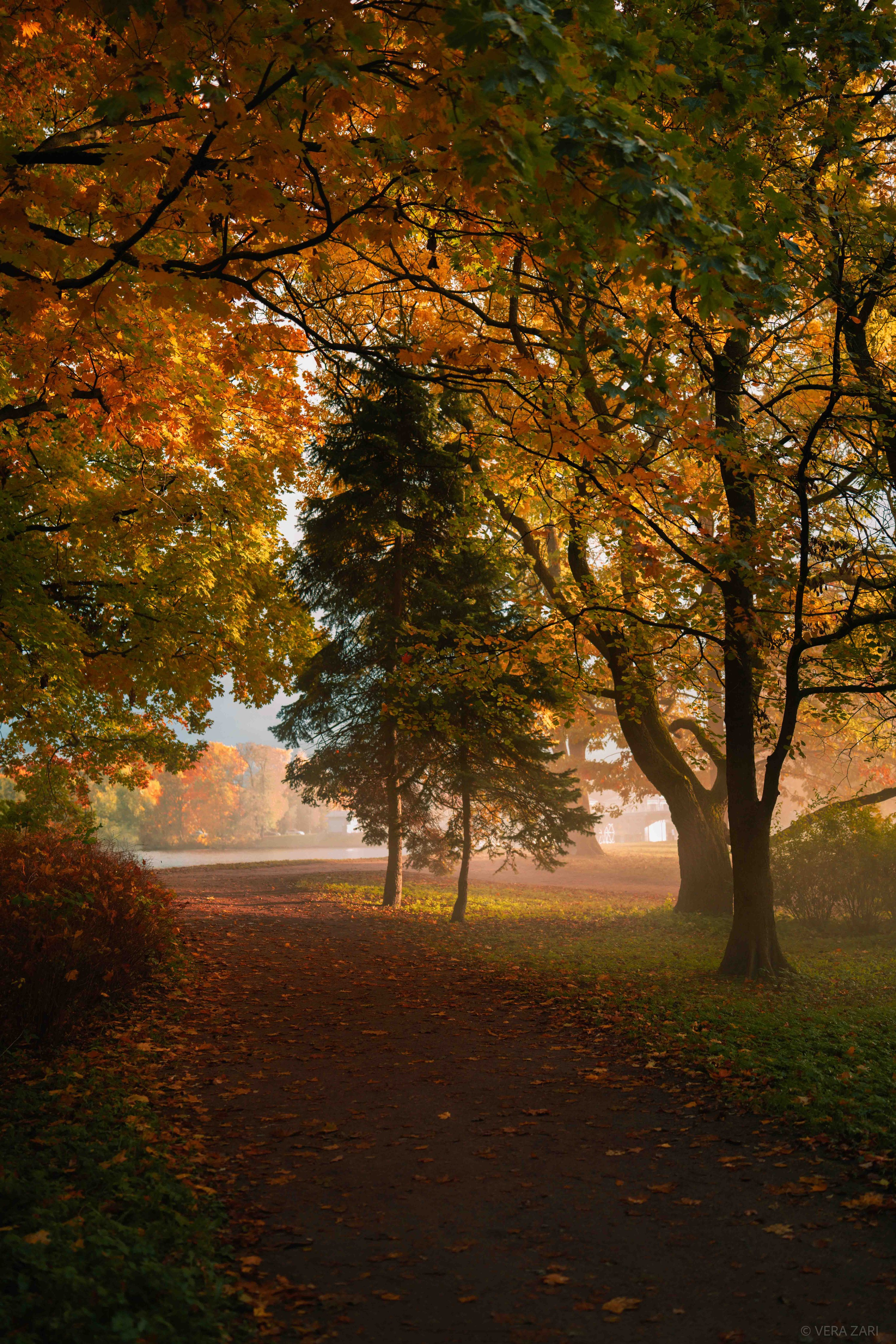 Творческие съемки. Фотограф в Санкт-Петербурге (портрет, индивидуальные, творческие съемки, каталог)