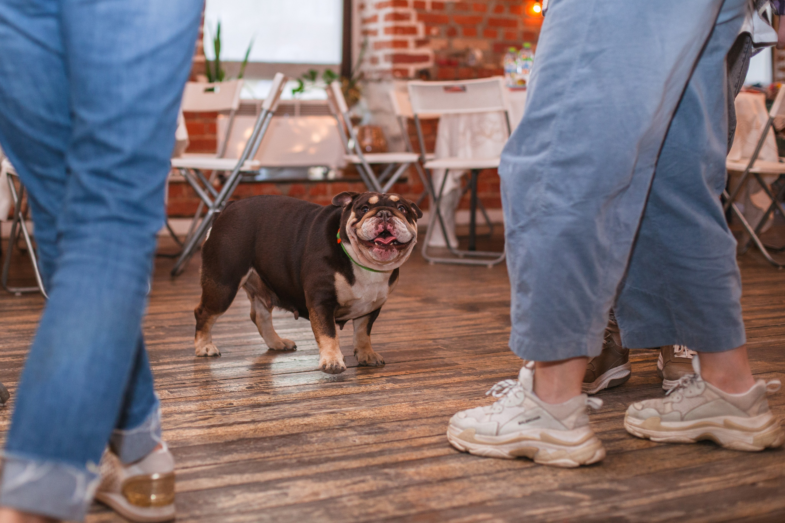 Бульбалл 23.04.2023. Фотограф-анималист Татьяна Степанова