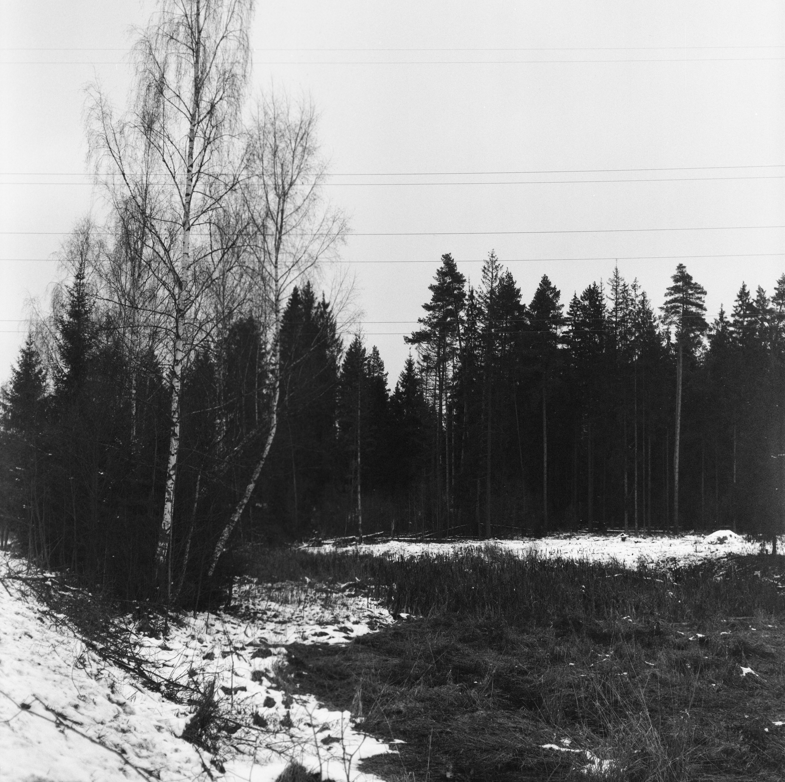 Kowa Super 66 — Kowa 85 mm f/2.8 / SFL Double-X Aerographic 400 (Kodak 2405)