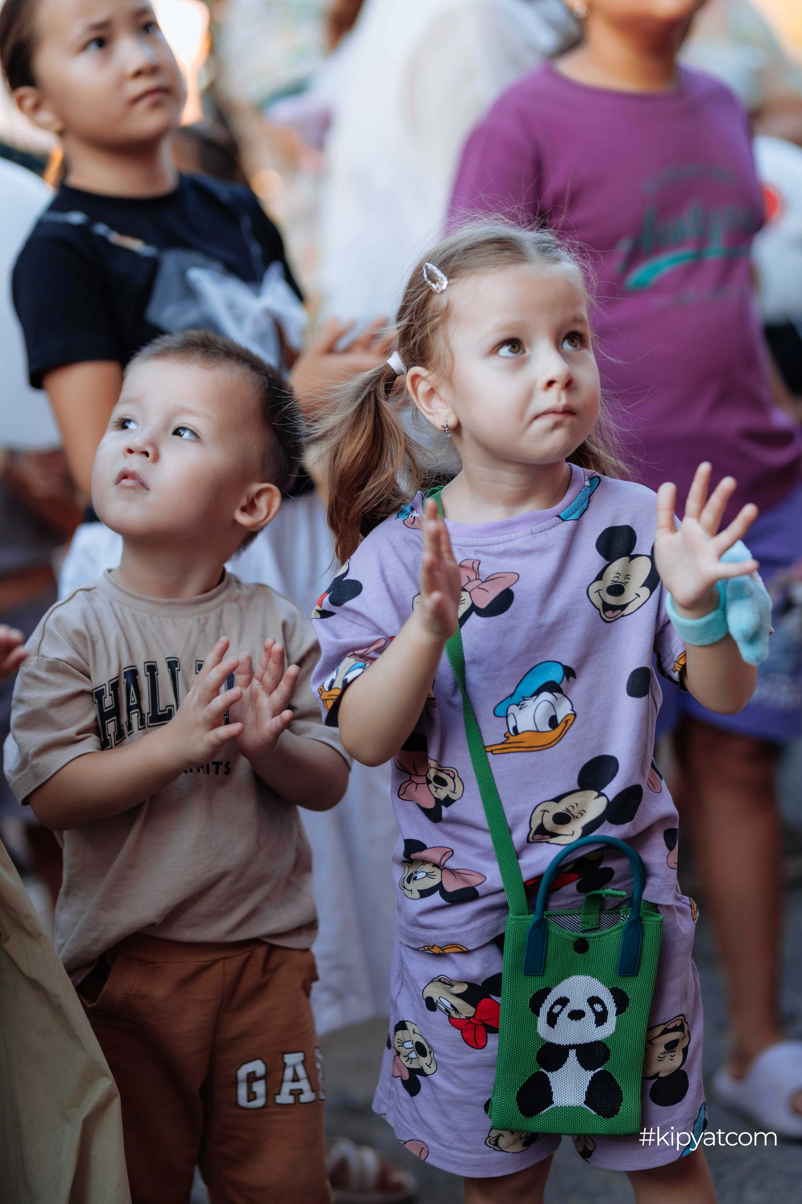 Safia|Кондитерский дом