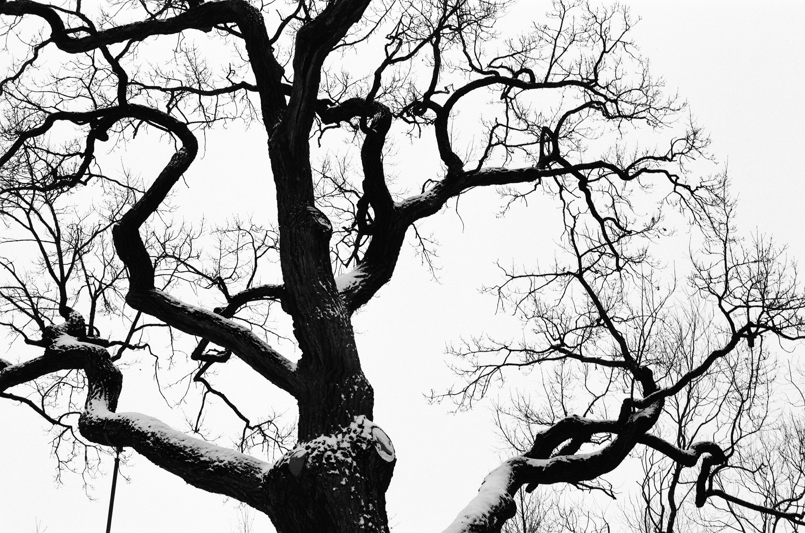 Картинки. Сандра Ковалева | ЧБ фотограф