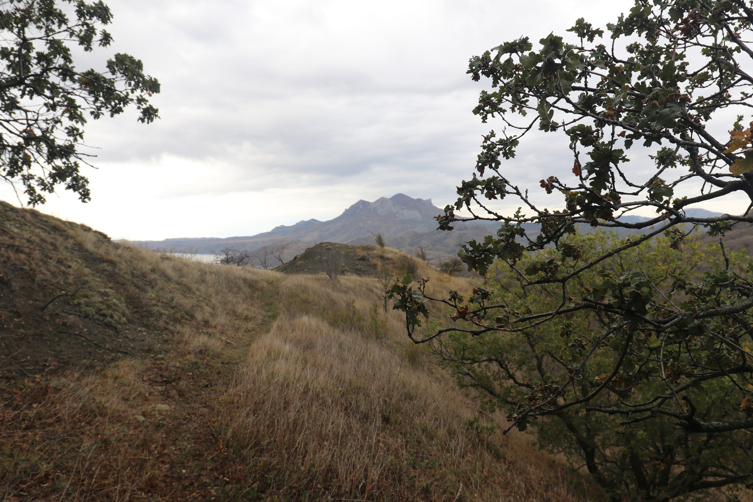 Крым. ЮБК (Судак, Карадаг). Ноябрь 2020. Путешественник-фотограф из Санкт-Петербурга Татьяна Свистулина
