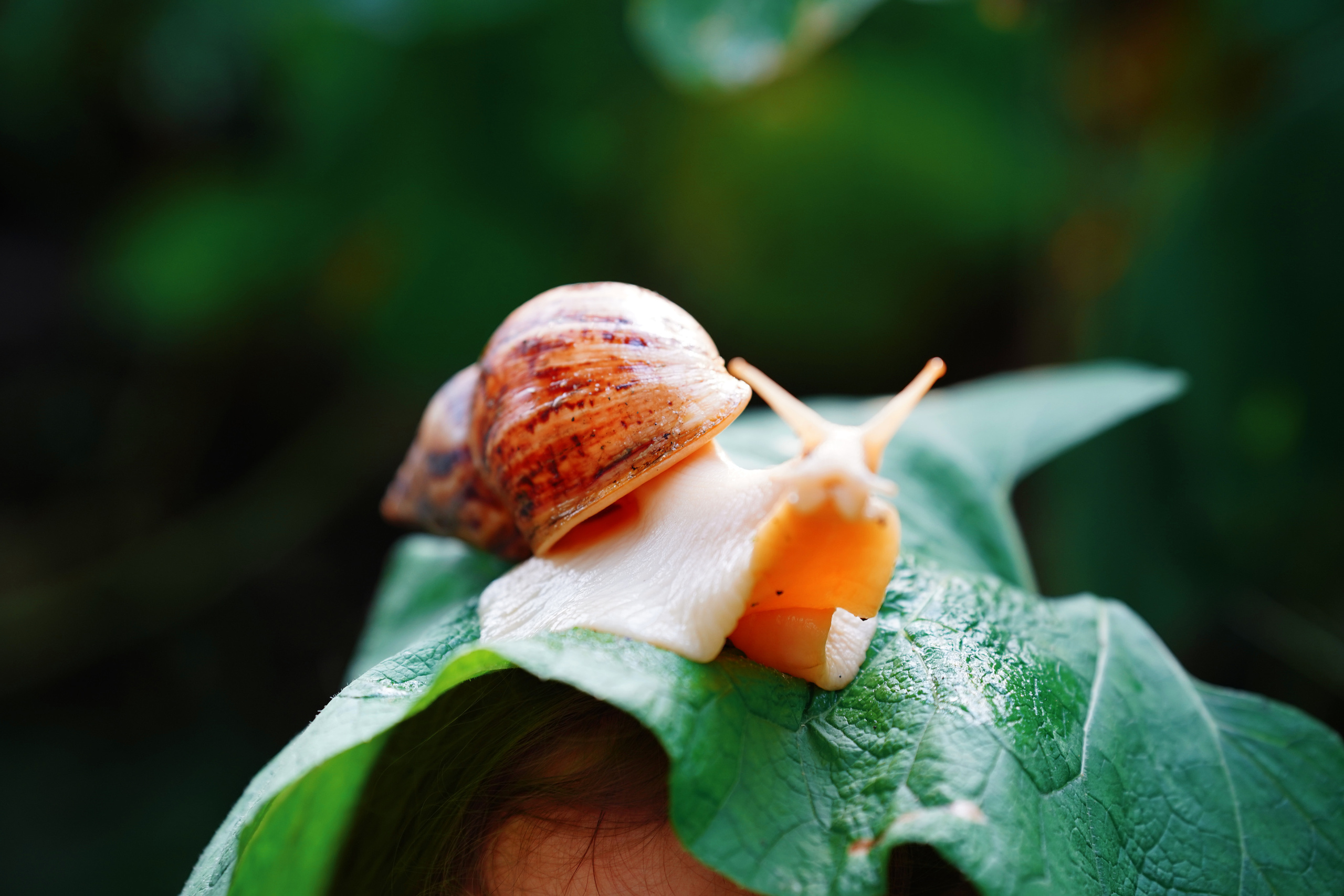 Дети. Детский и семейный Фотограф во Владивостоке Юлия Моисеенко