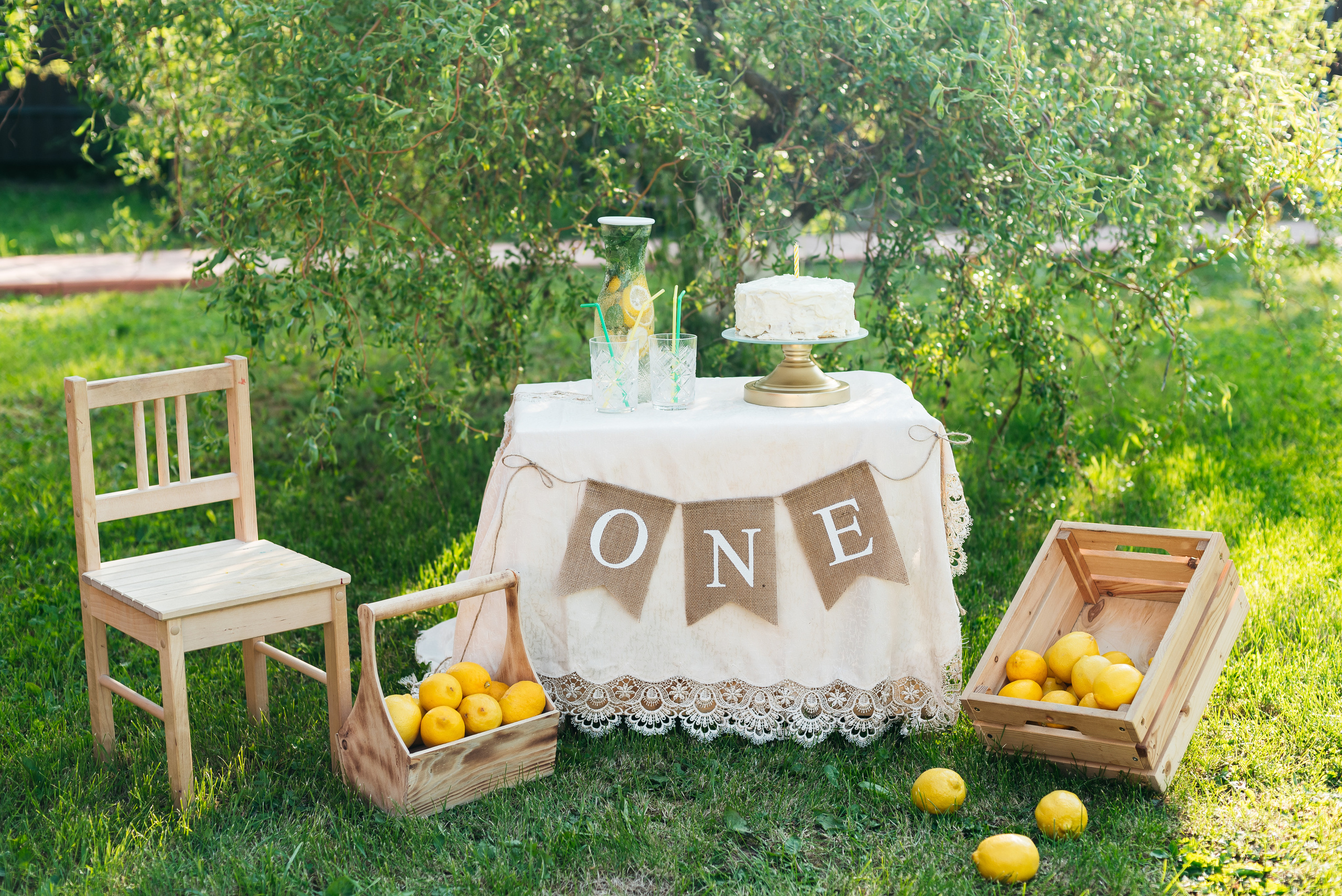 Лимонная история к первому годику. Семейный и детский фотограф Захаренкова Юлия