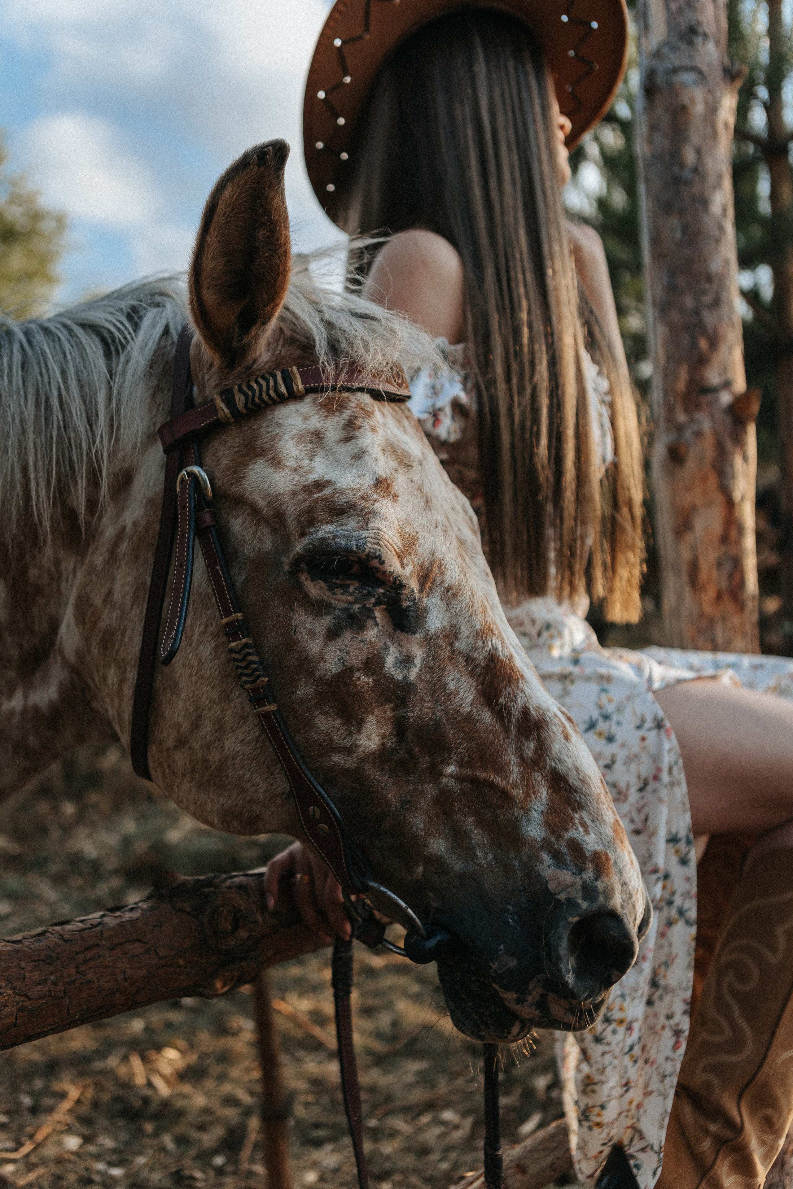 Алина. Семейный фотограф в Нижнем Новгороде Доронина Юлия