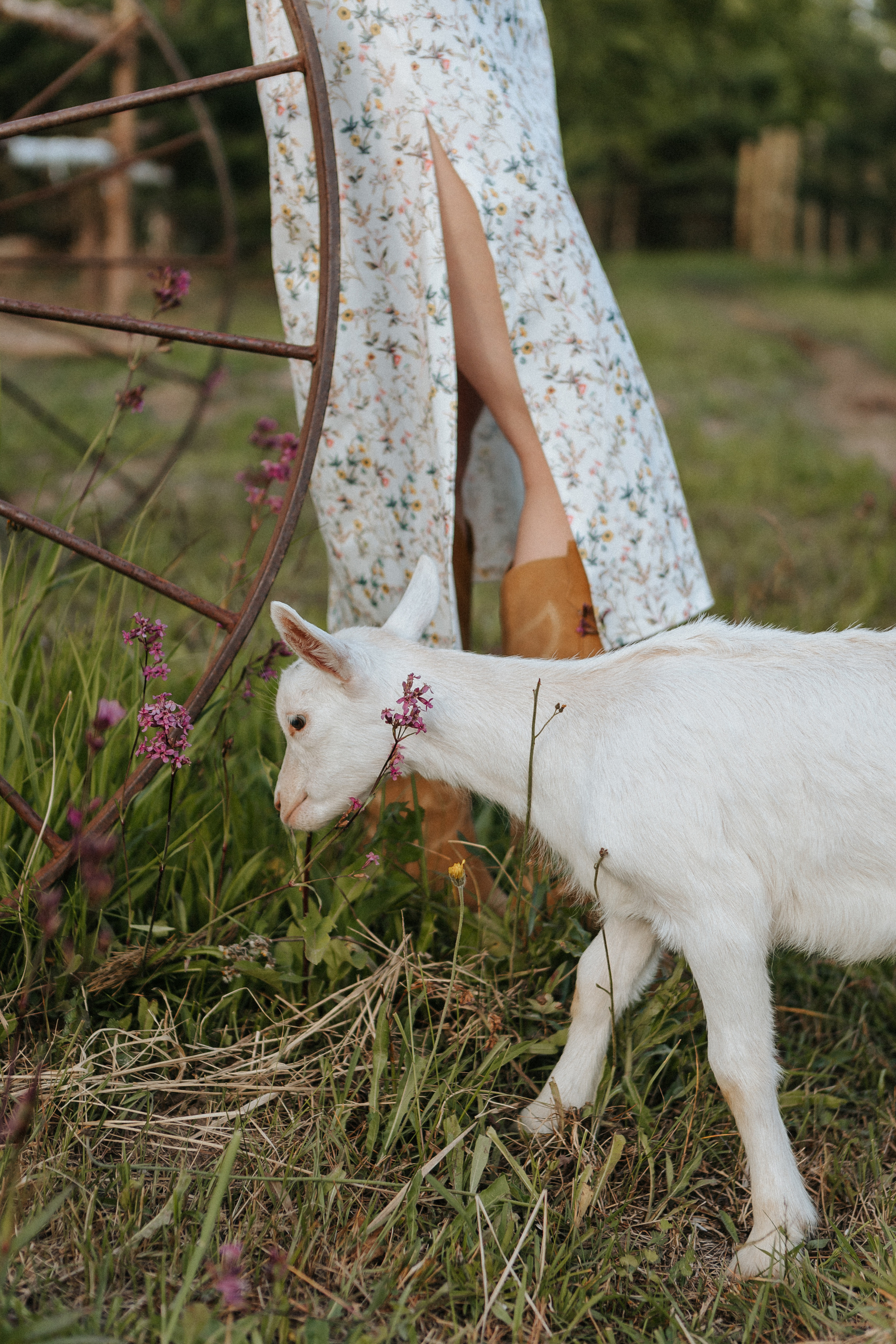 Алина. Семейный фотограф в Нижнем Новгороде Доронина Юлия