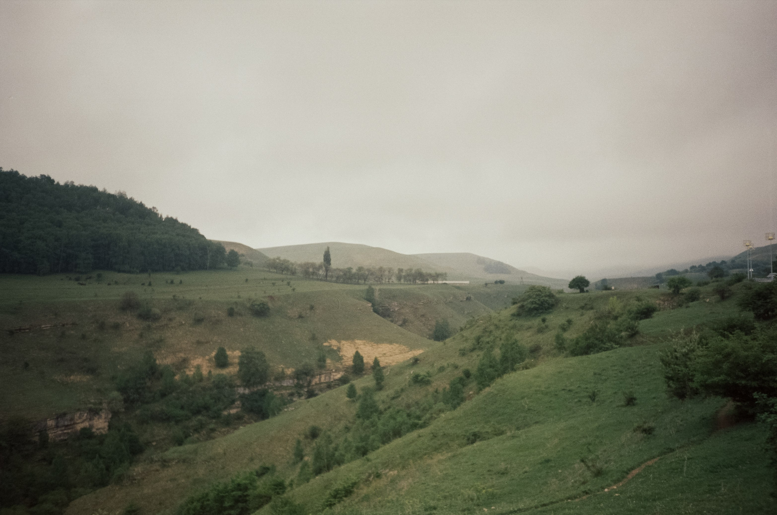 Дорога к Джилы-Су и лошадки в тумане. Фотограф-документалист Мария Осокина