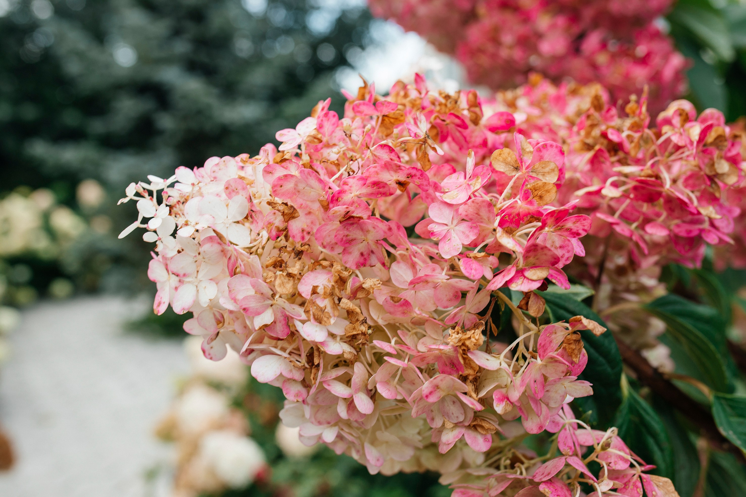 Природа. Команда фотографов Кристины Ивановой