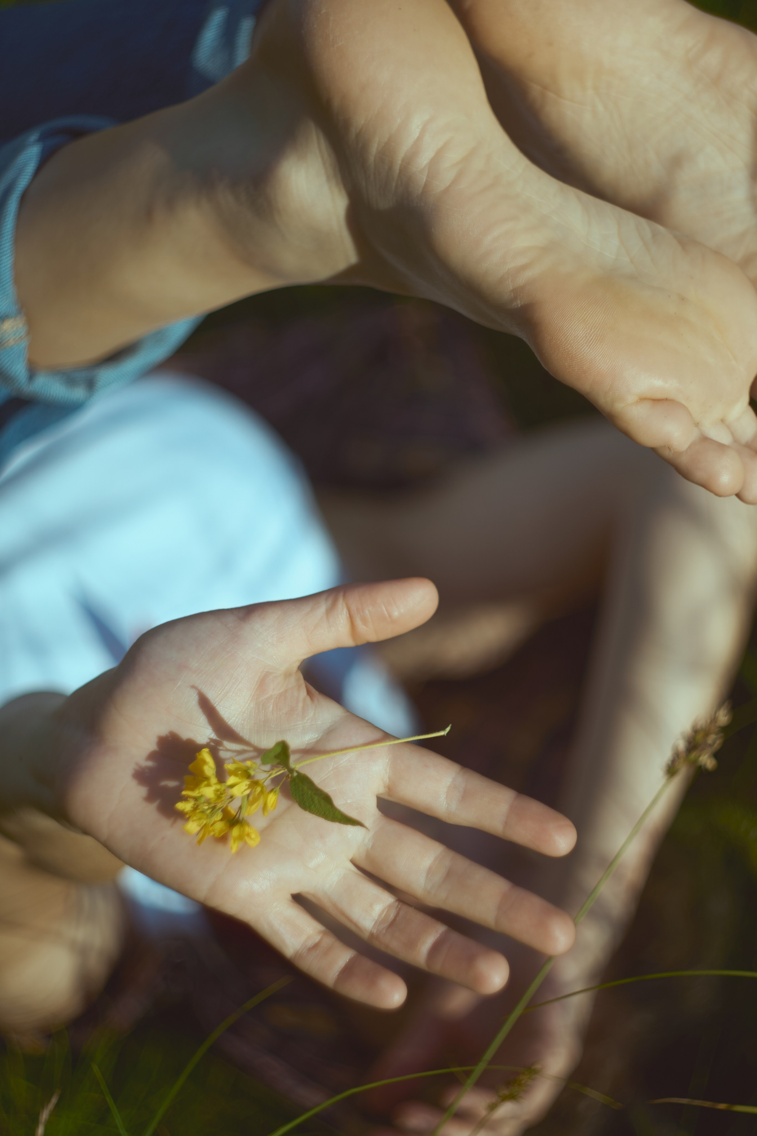Summer field. Юля Ф