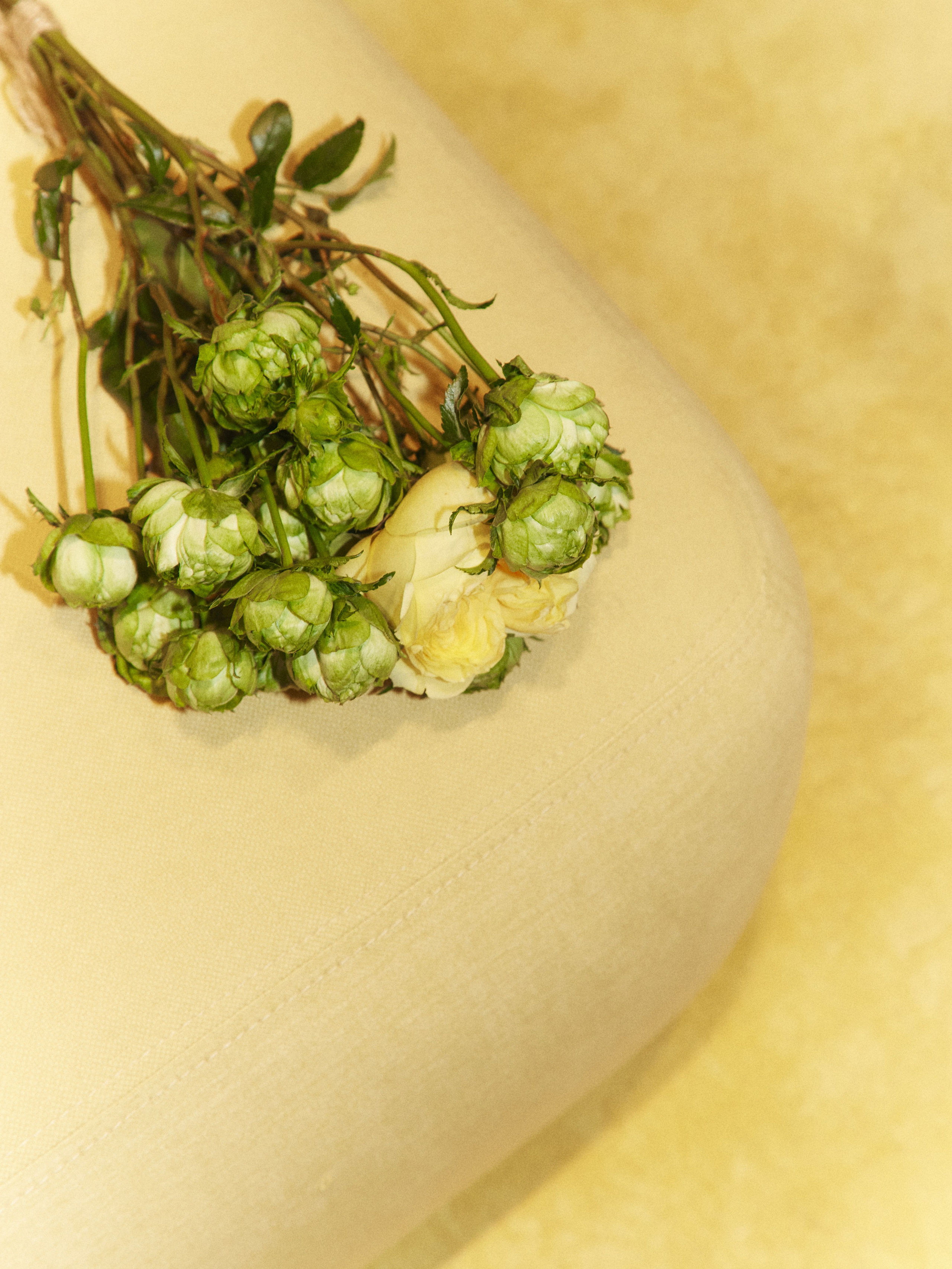 CHAIKA store opening in Tsvetnoy. Photographer Daria Ilkevich