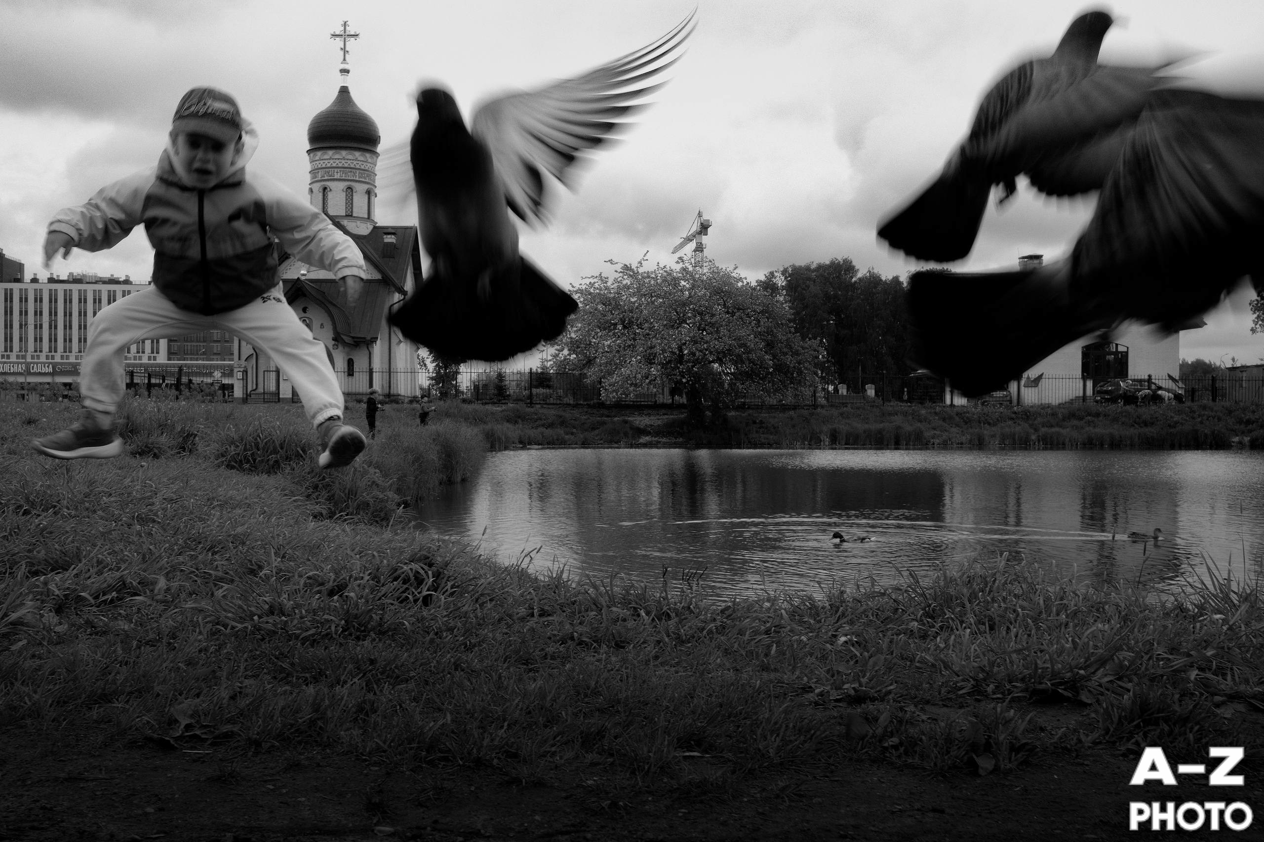 #ФОТОНЕДЕЛИ 01.06.2026