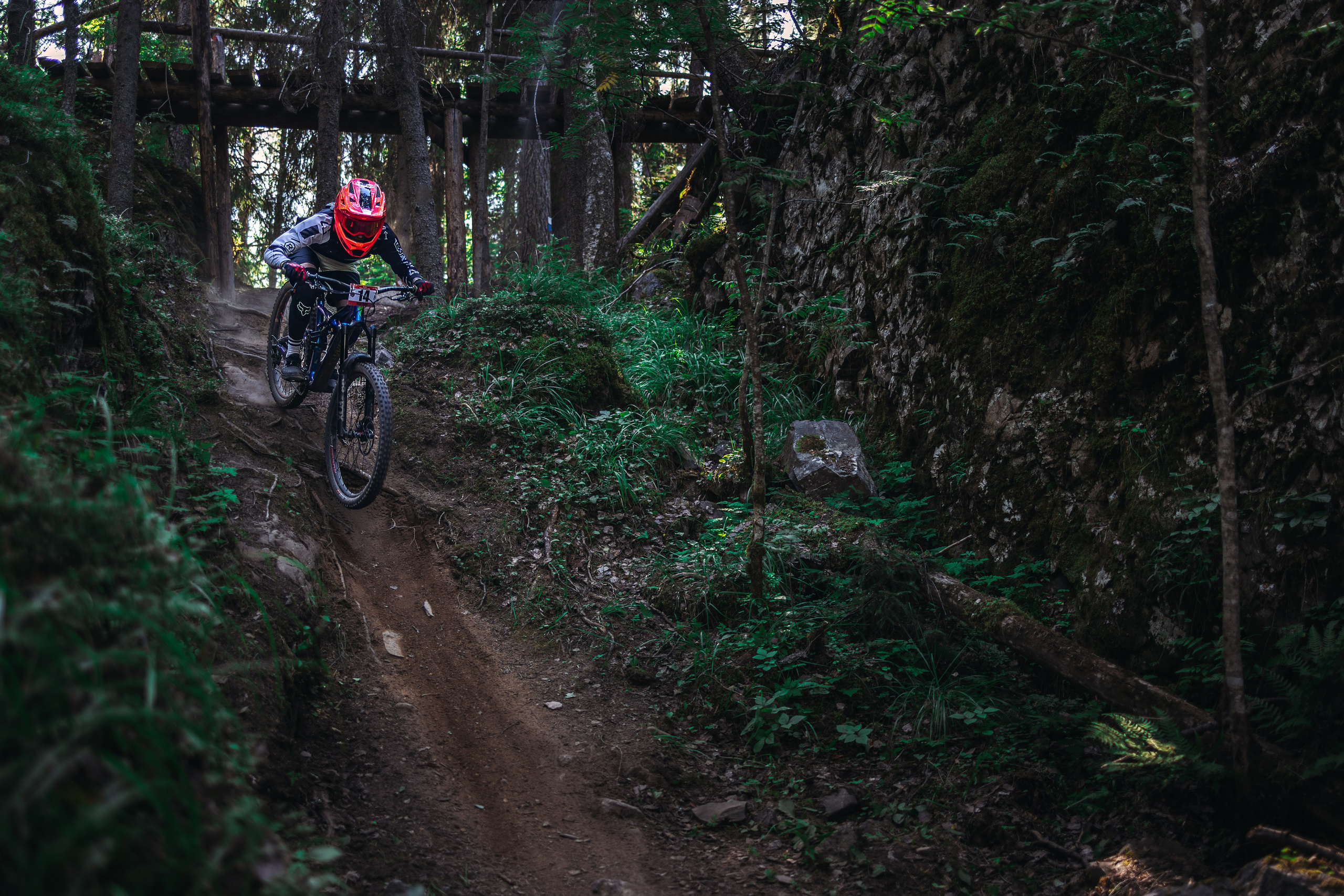 Гонка Ялгора. Фотограф анималист Никита Натальный