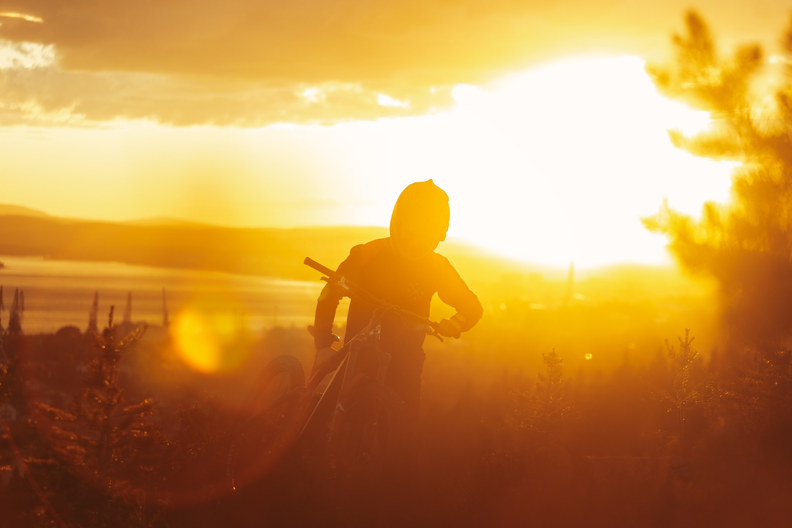 Кандалакшка. Фотограф анималист Никита Натальный