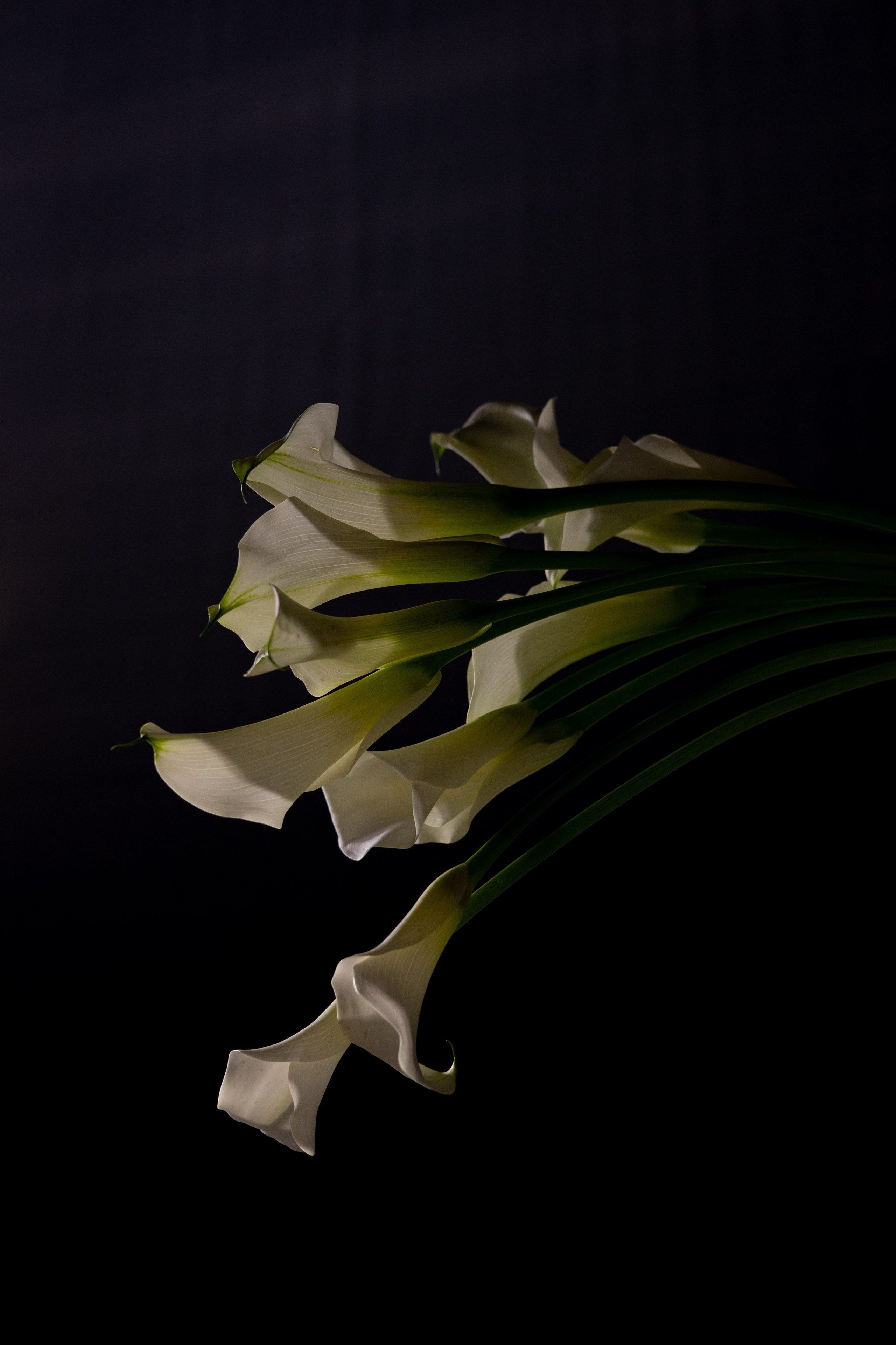 Лера & Алексей. Ресторан «TOUCH». Оформление свадеб, декор свадеб Вера Маркова, Москва