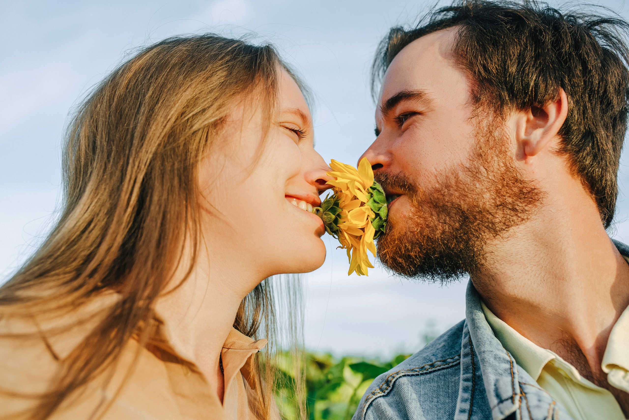 ПОДСОЛНУХИ. Шашкова Вероника / Свадебный и семейный фотограф Москва и Ярославль