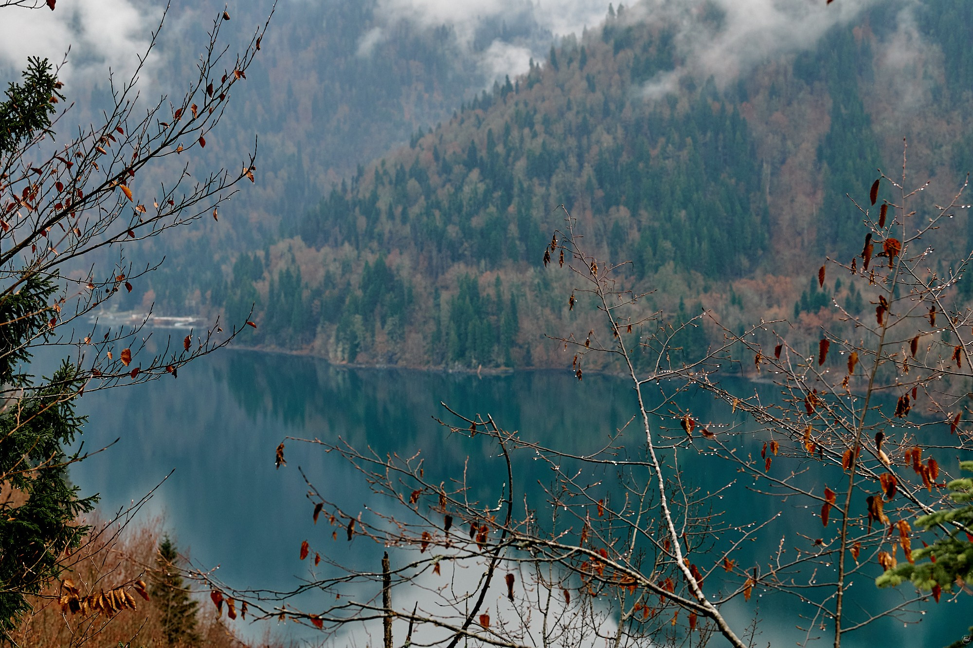 Озеро Рица, Абхазия. Декабрь 2024. Фотографии отовсюду и обо всем