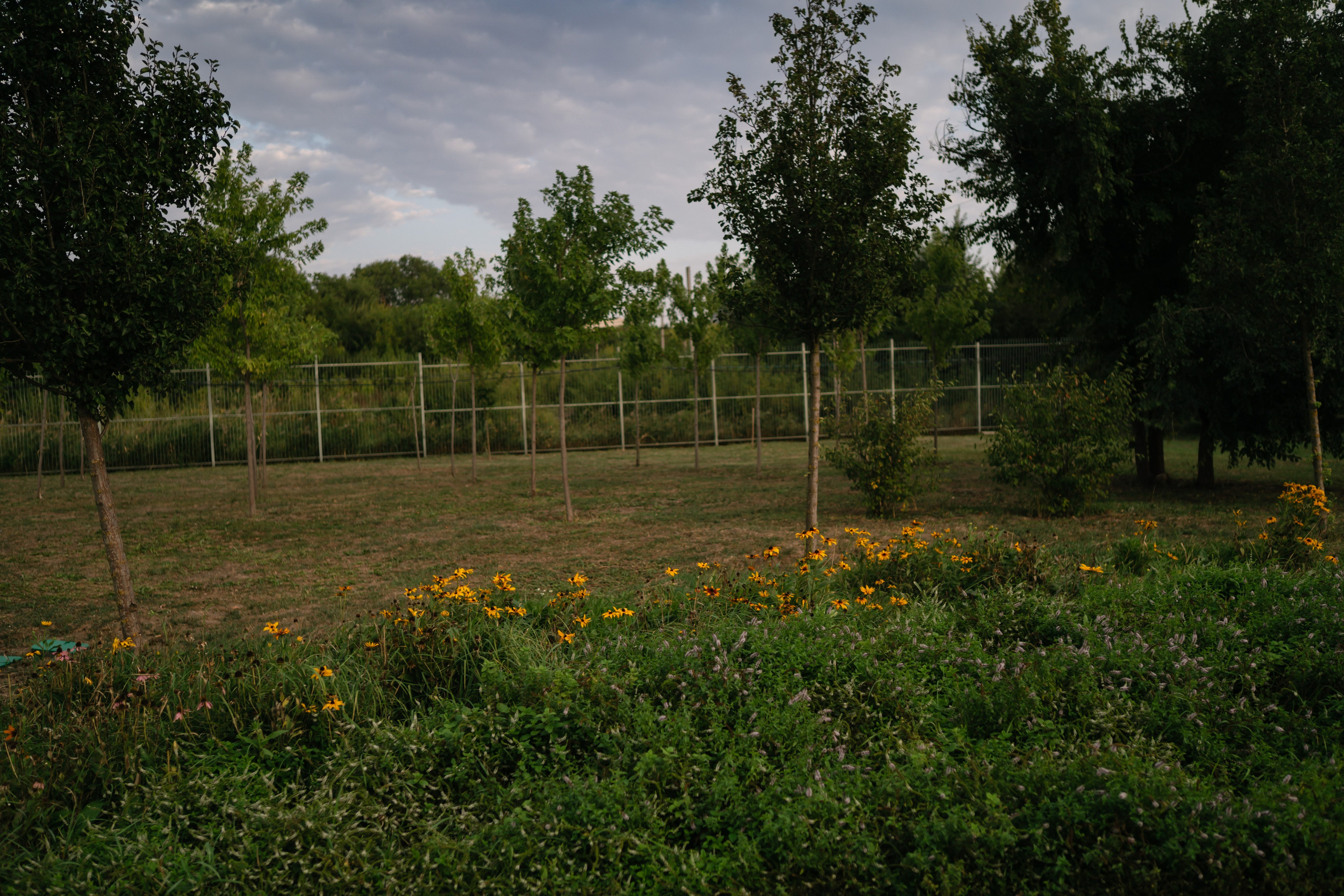 Локации для школьных съемок. Семейный фотограф и видеограф Ростов-на-Дону
