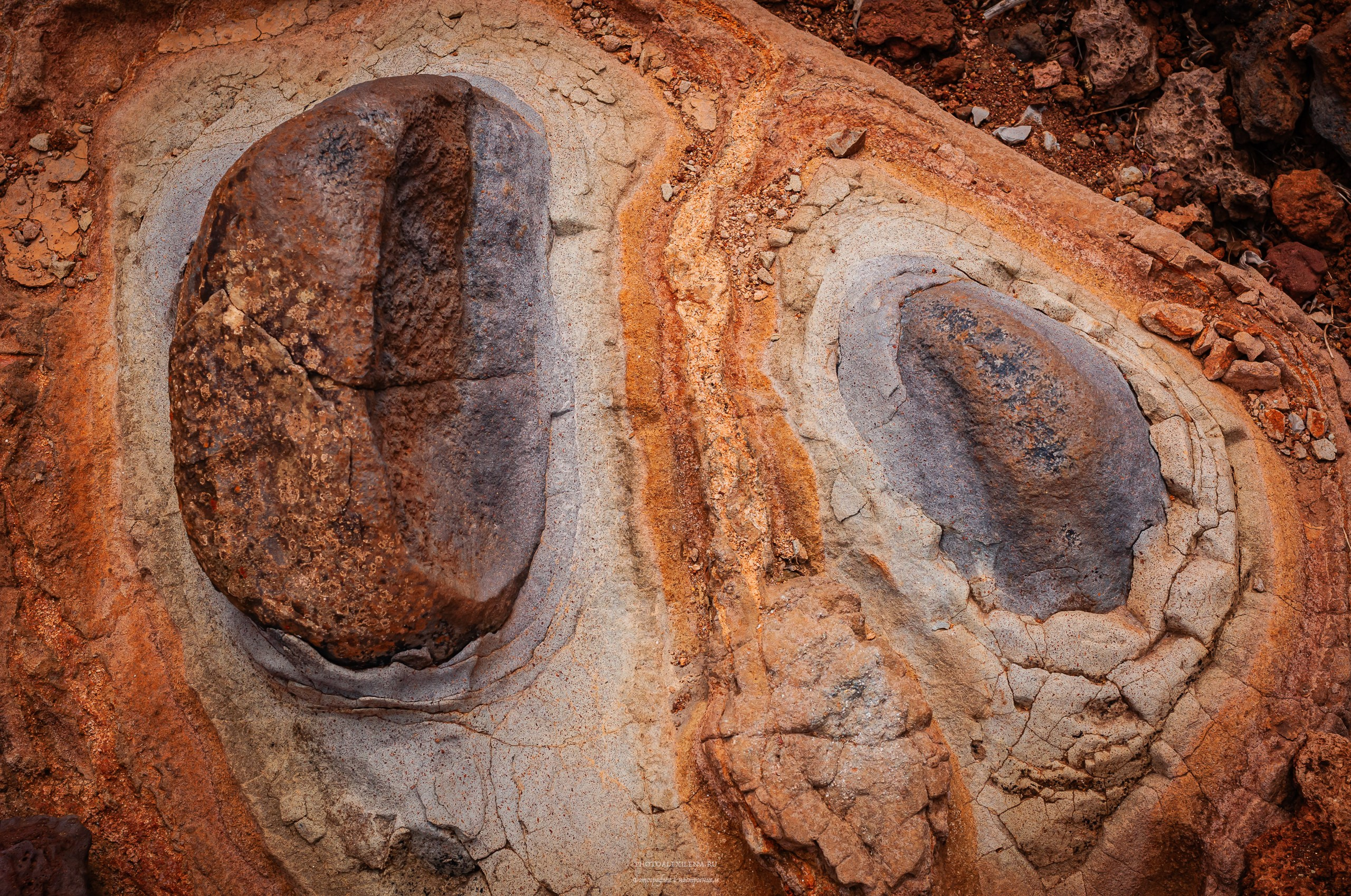 Осязаемая красота. Авторские стильные фотокартины