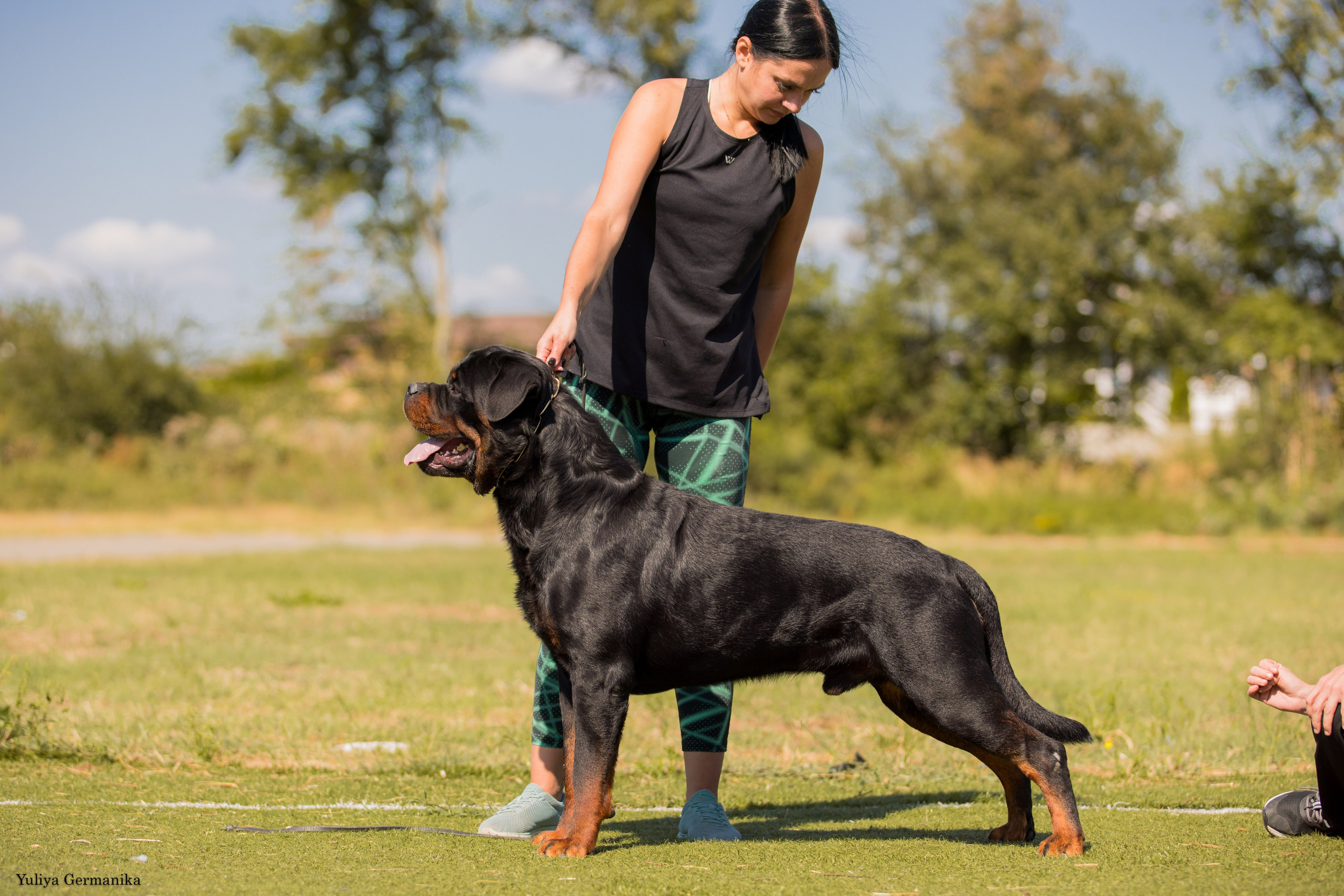 Анапа 16-17.09.2023 моно ротвейлеров. Фотограф-анималист Юлия Германика