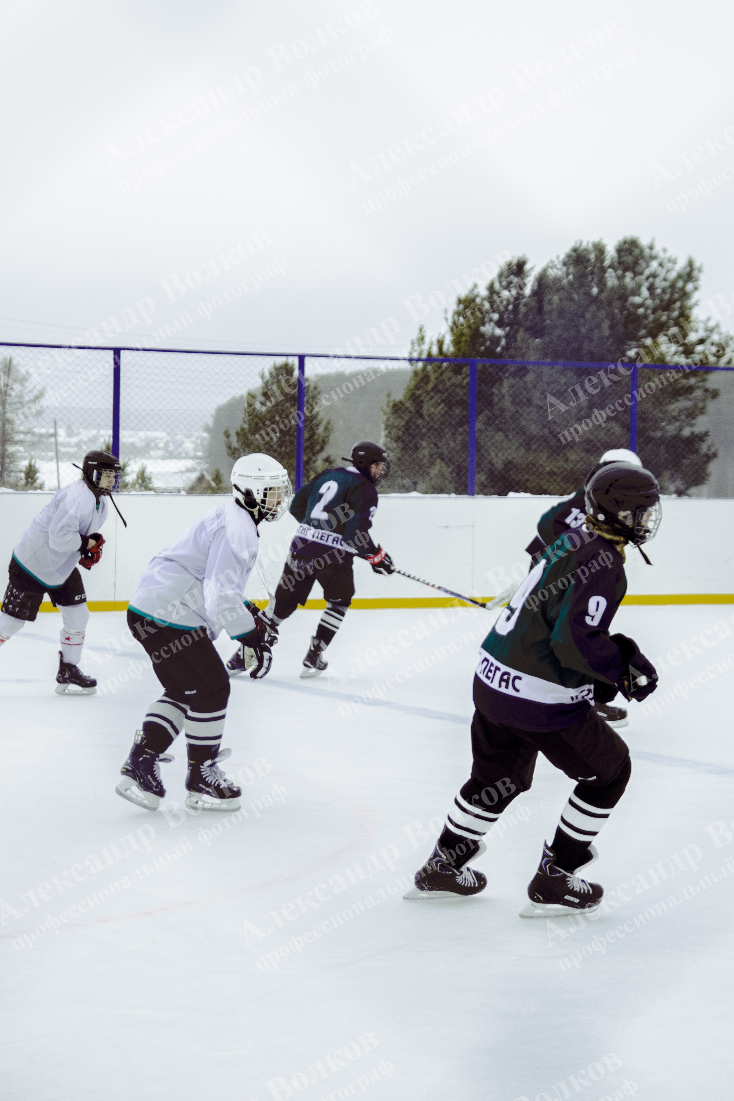 Хоккей 29.12.2024